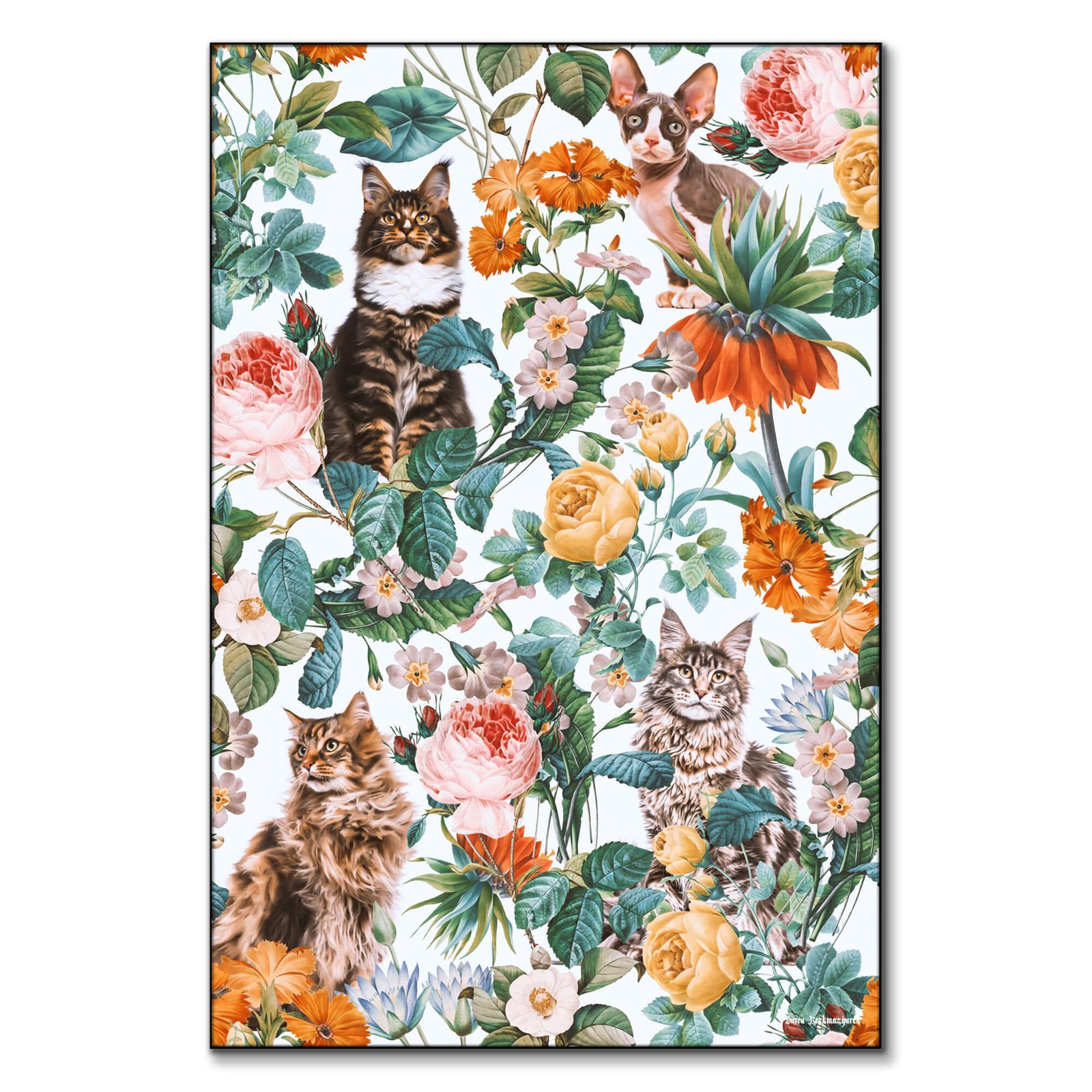 Cat and Floral Pattern III