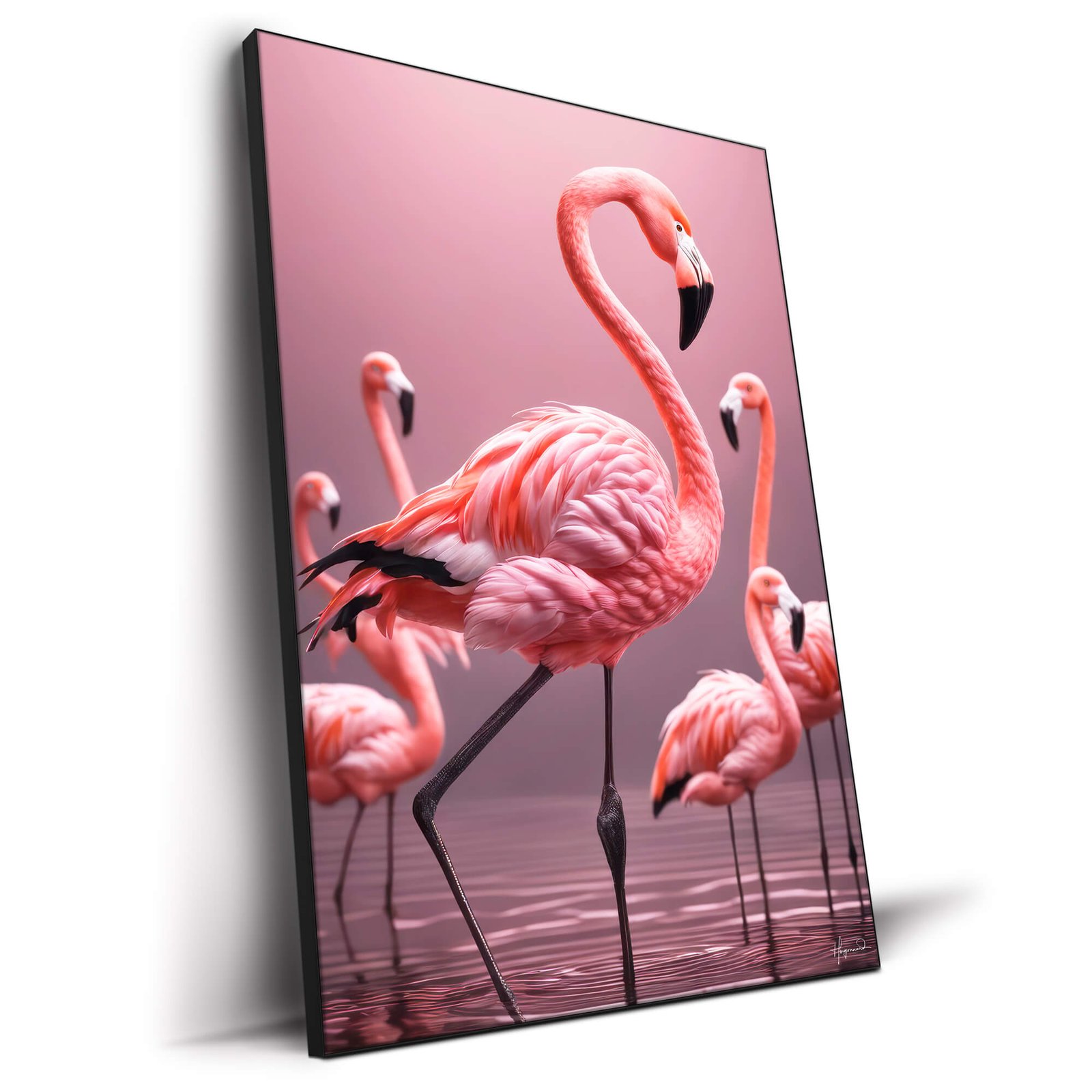 Flamingos - Image 2