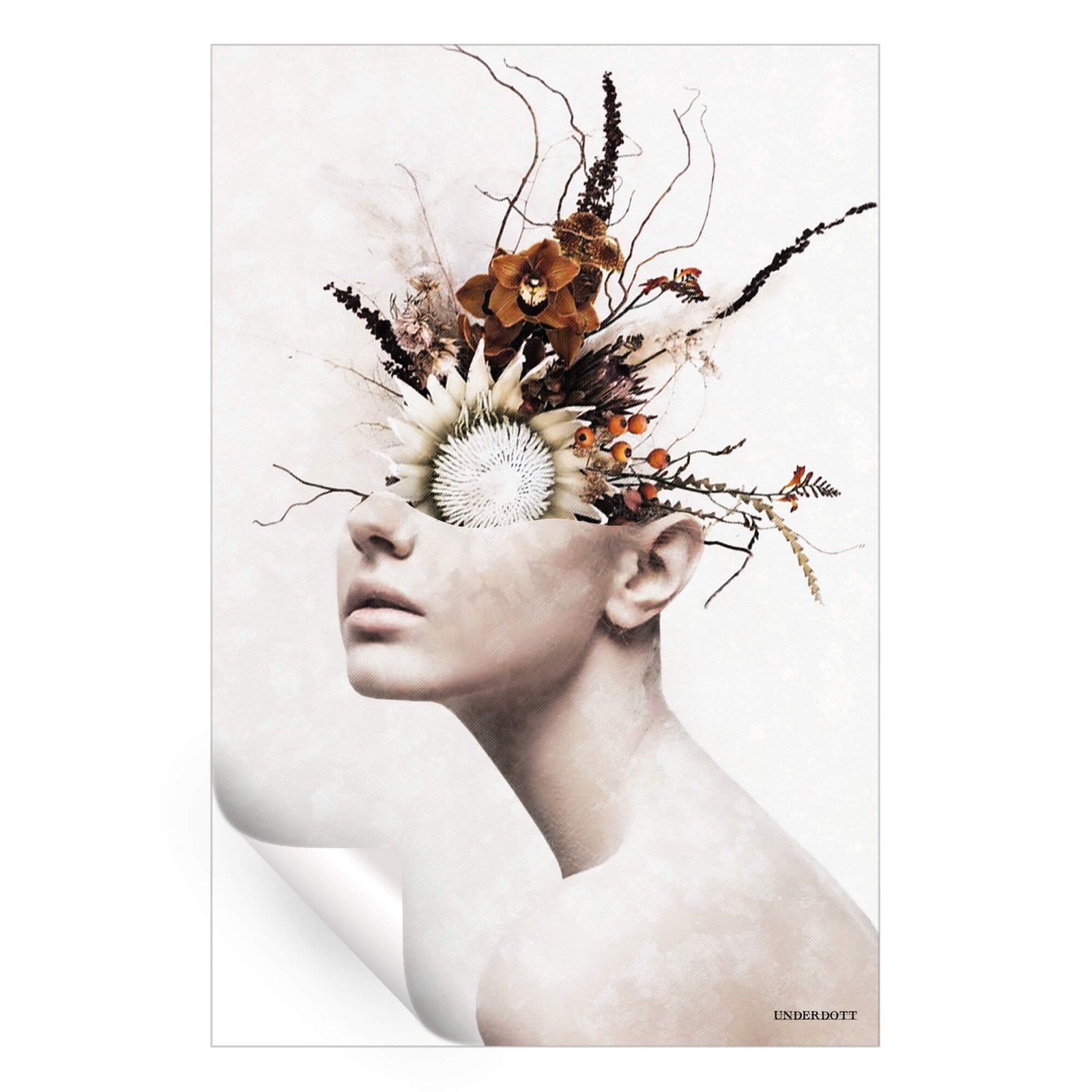 Autumn Beauty - Image 3