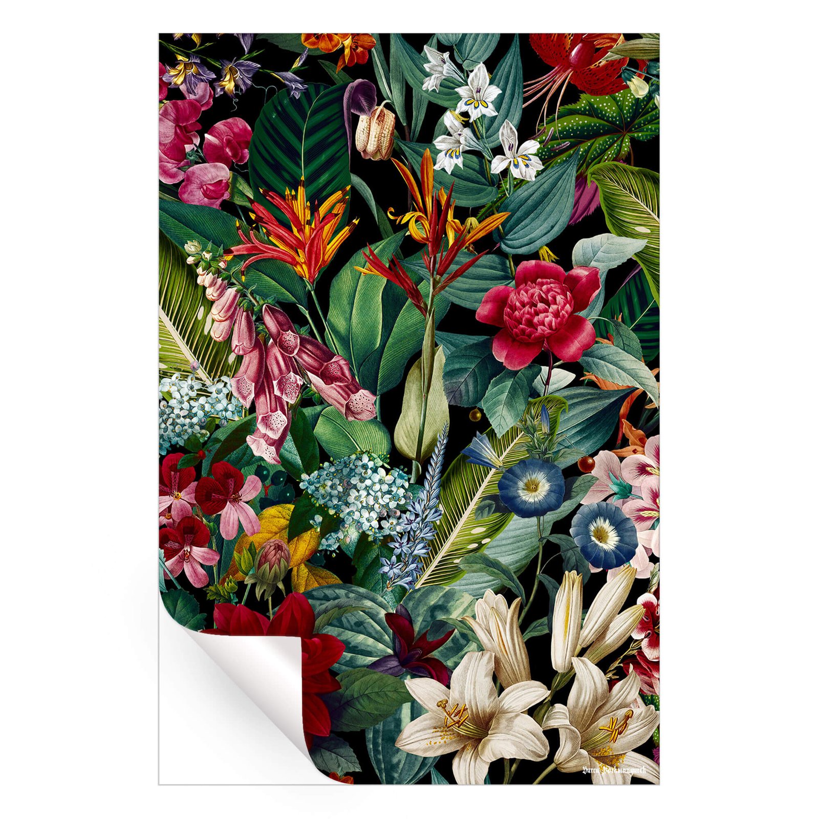 Chintzy Florals Night - Image 3