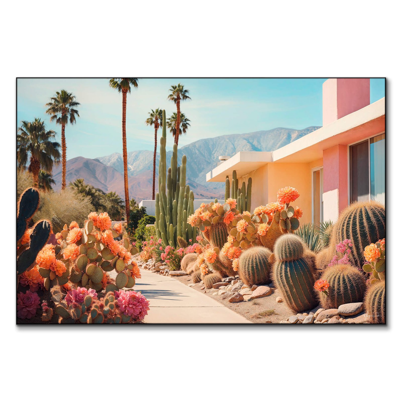 Cactusland