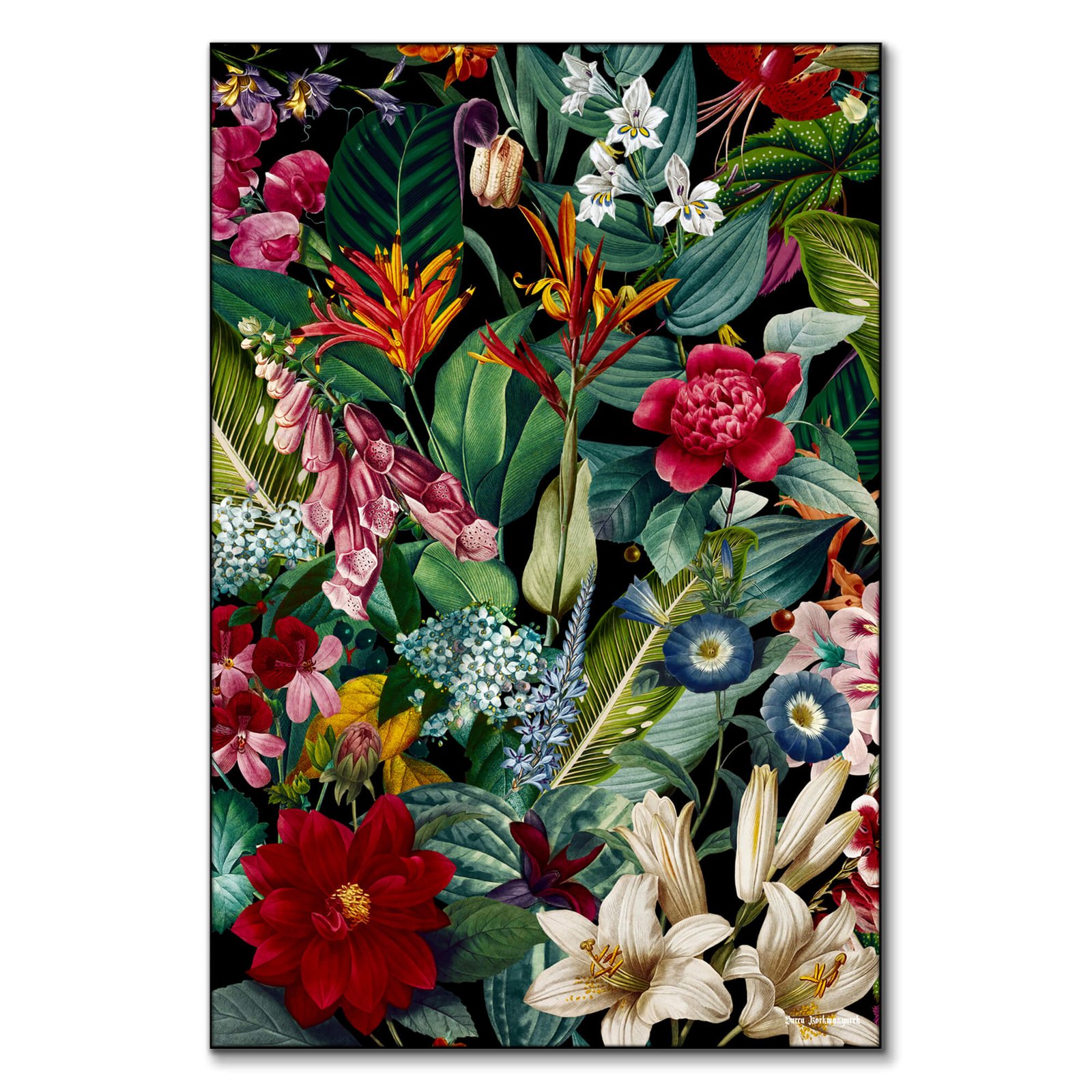 Chintzy Florals Night