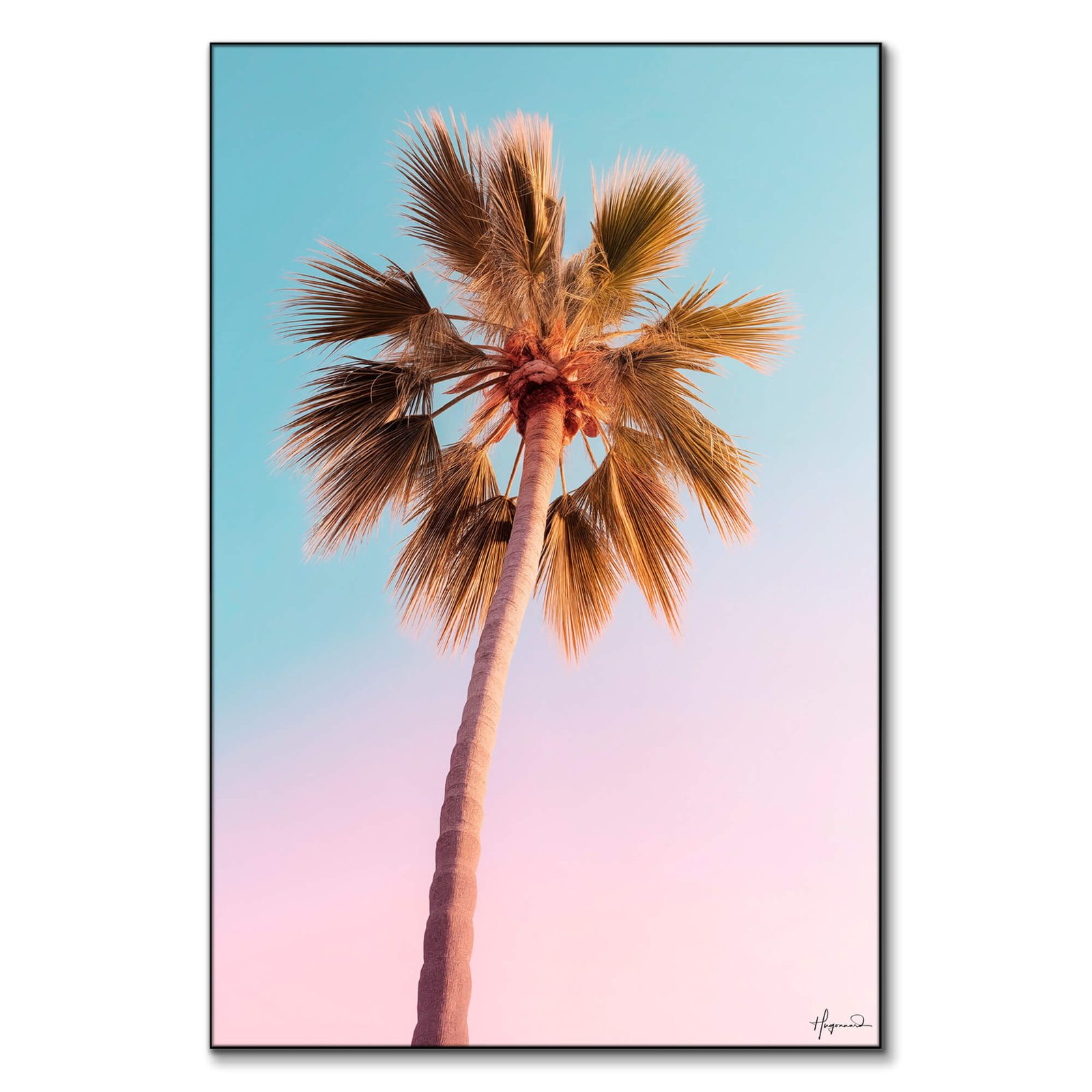 The Pastel Palm