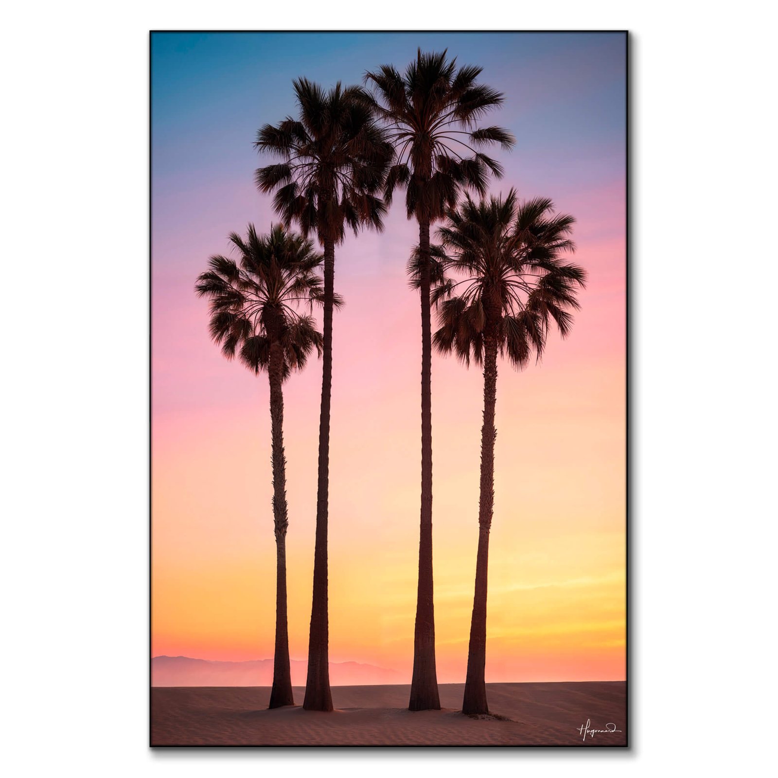 Beach Sunset Palms