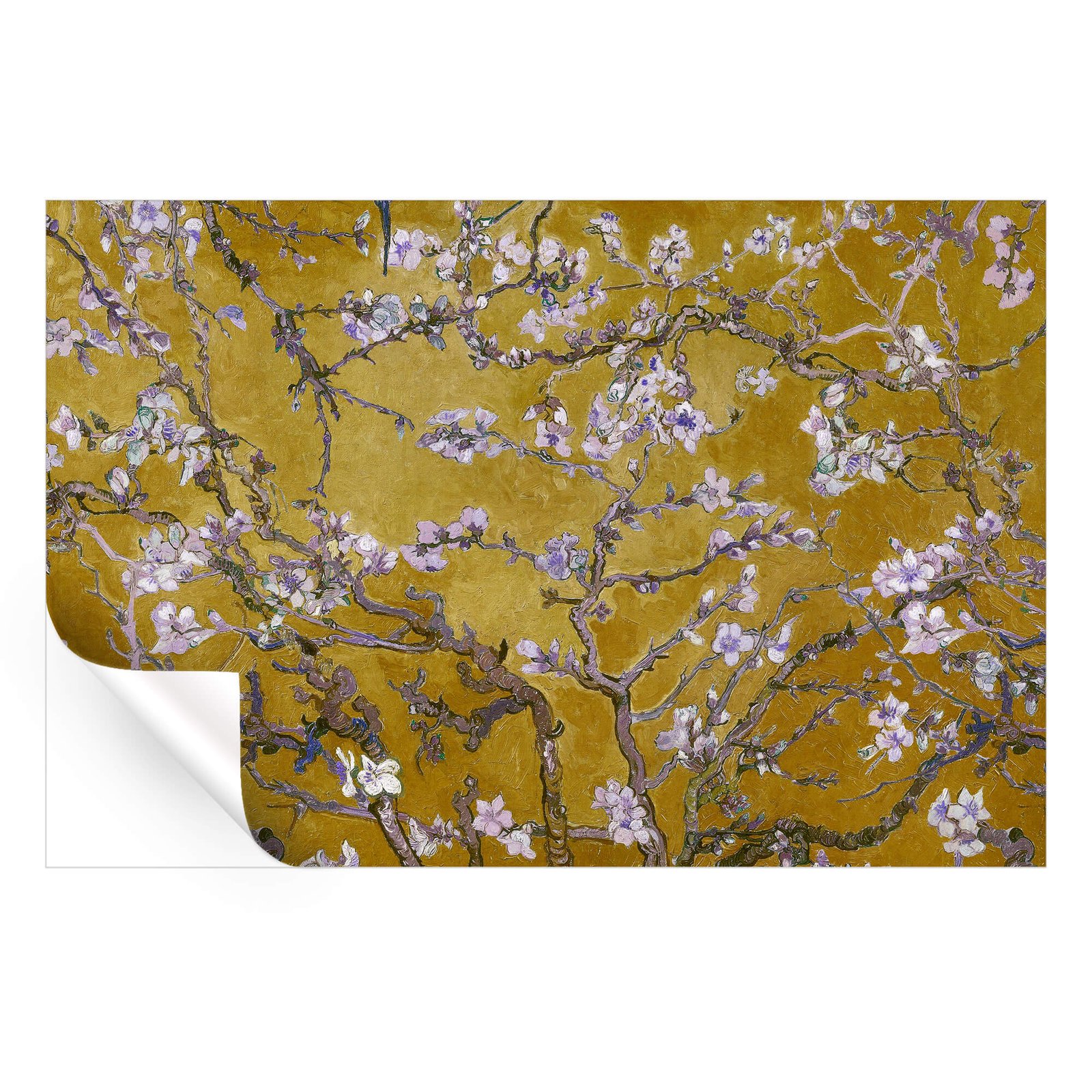 Almond Blossom - Image 3