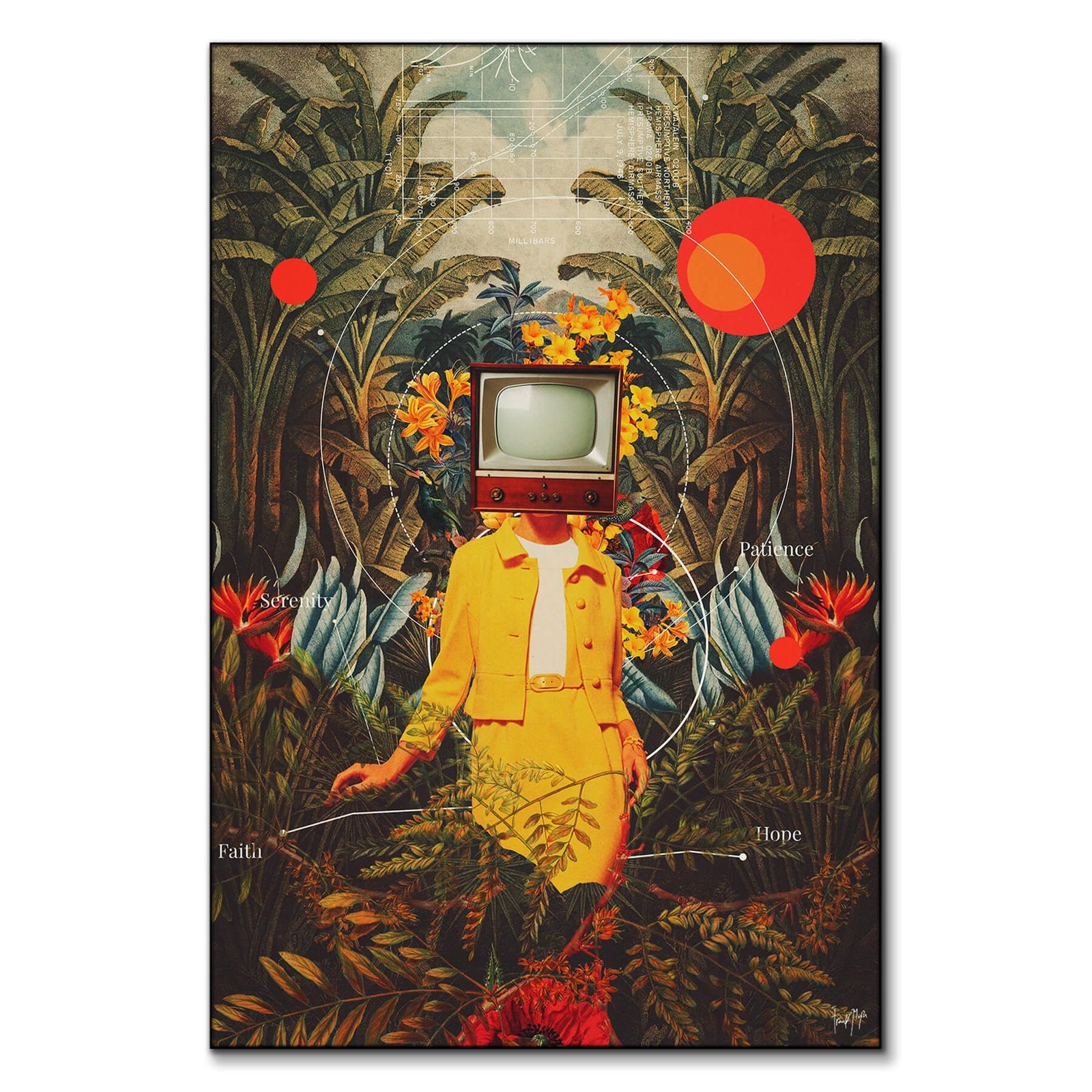 She Came From The Wilderness