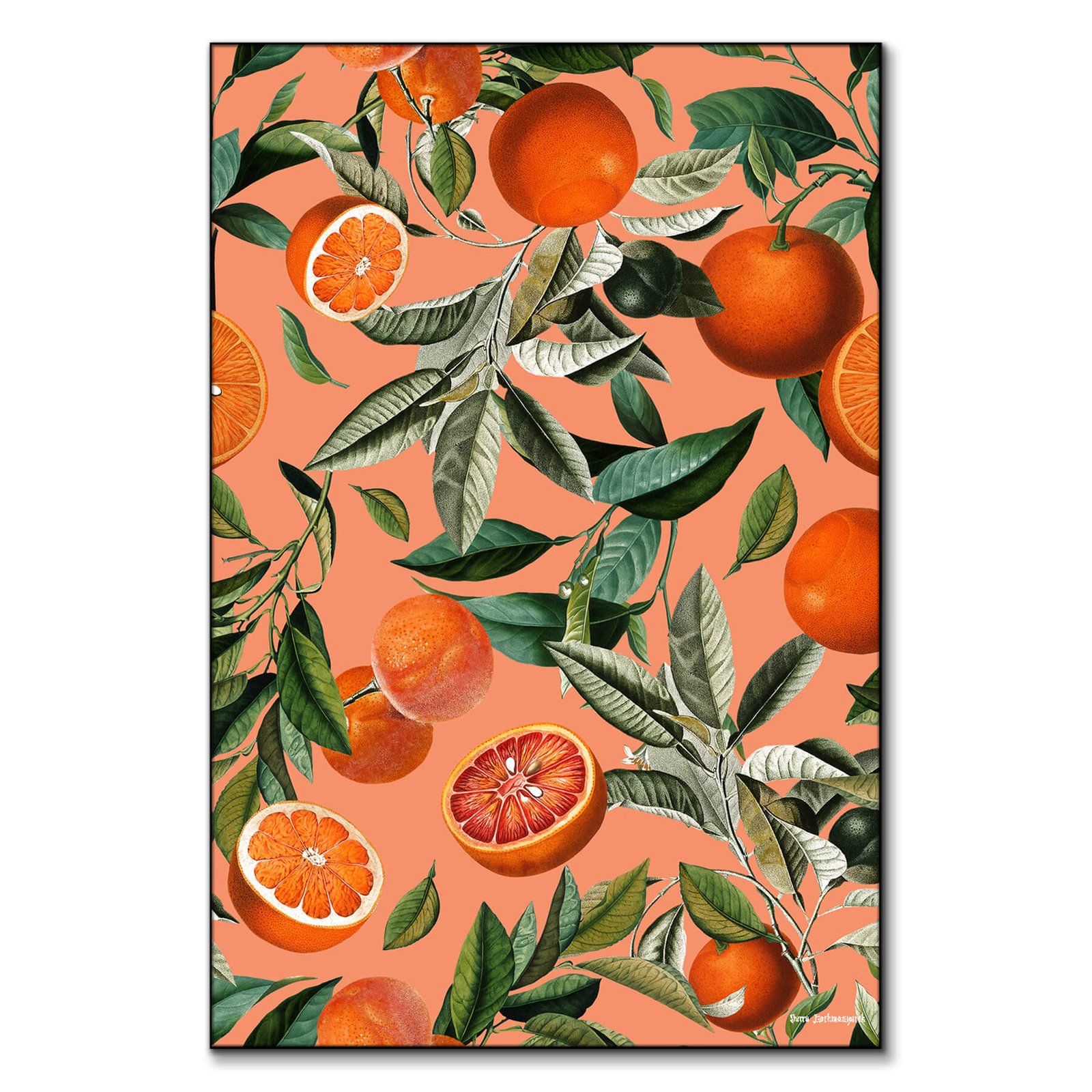 Vintage Fruit Pattern