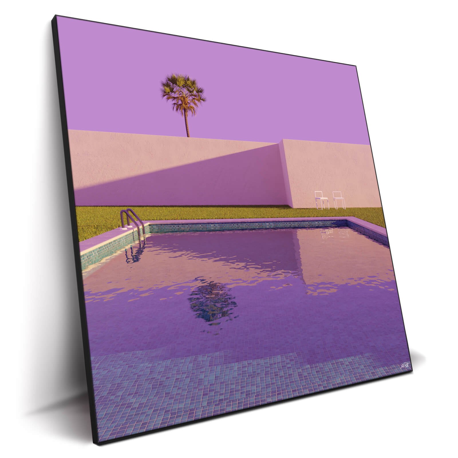 Morning Swim - Image 2