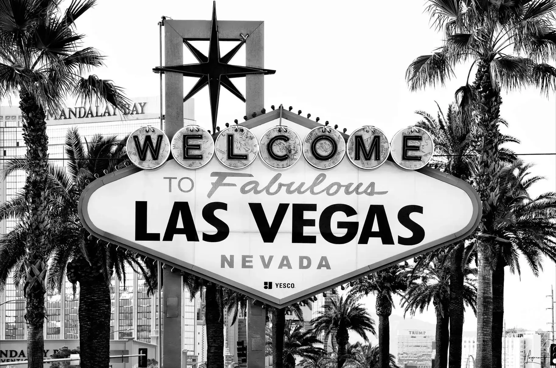Welcome to Fabulous Las Vegas - Image 2