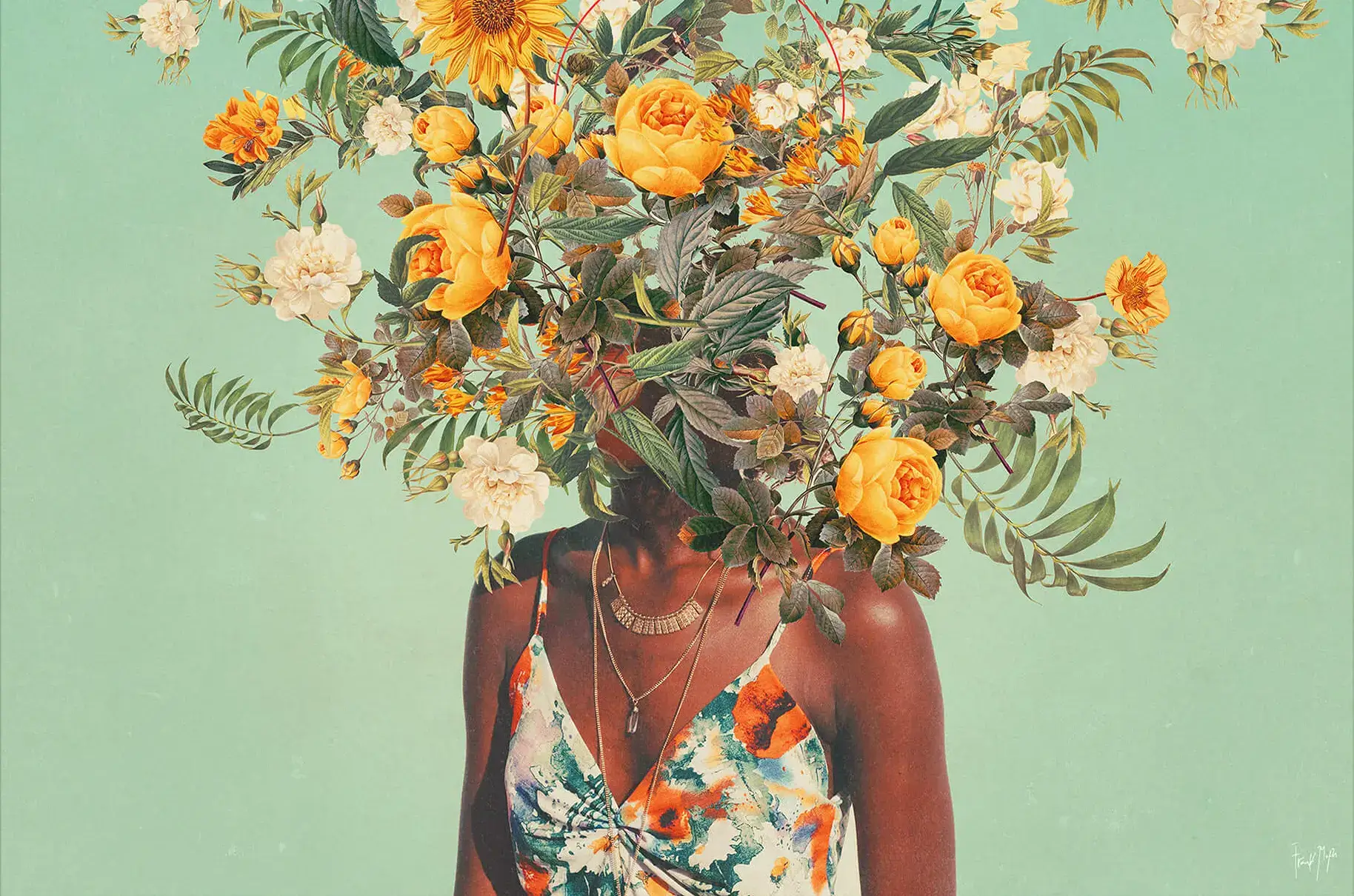 A Thousand Summers - Image 2