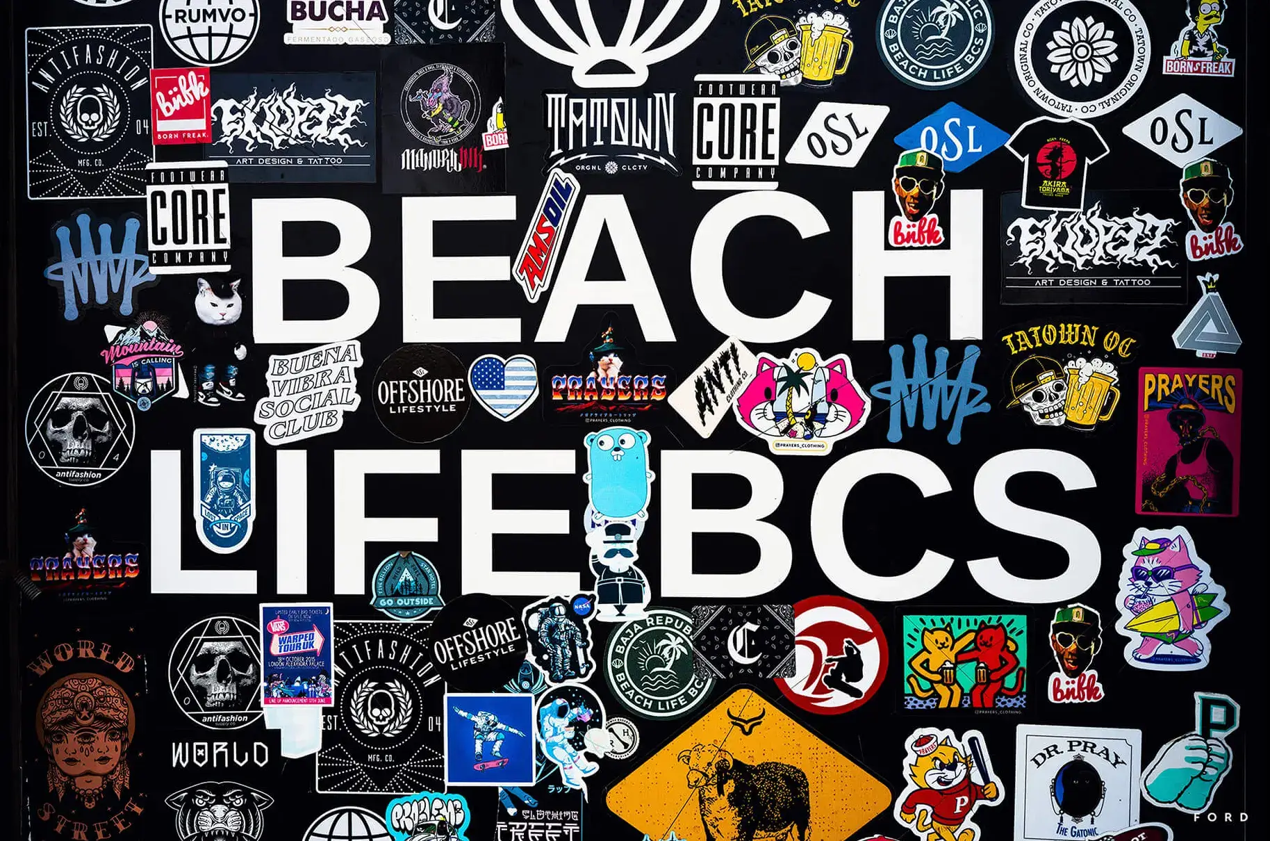 Baja Beach Life - Image 2