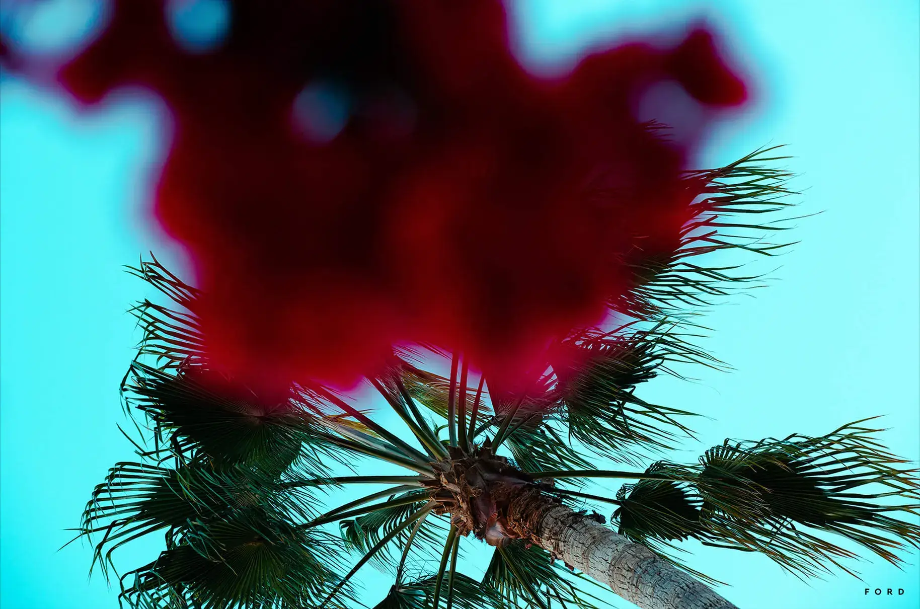 Hustle and FLOWers - Image 2