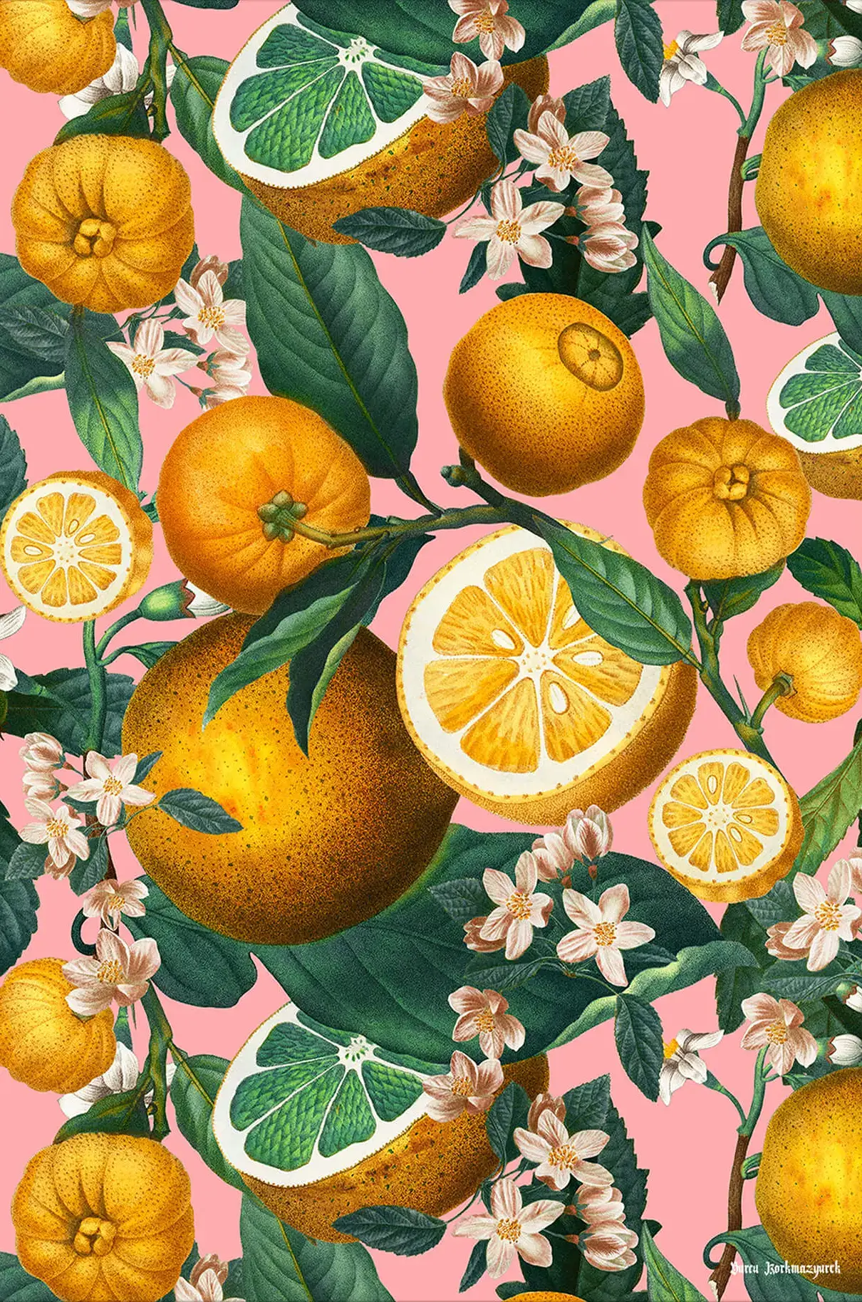 Juicy Lemons II - Image 2