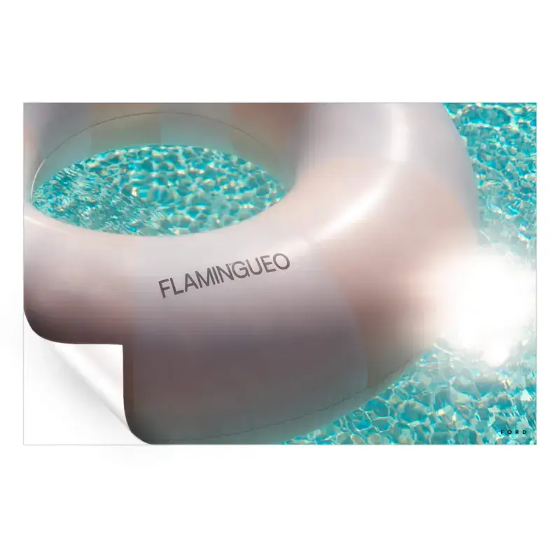 Flamingueo - Image 3