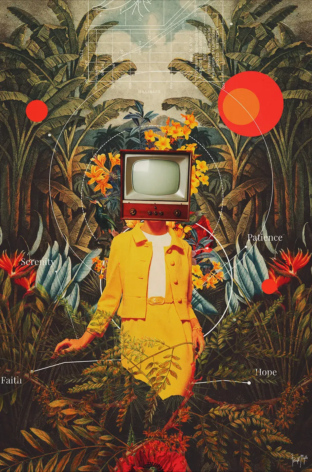 She Came From The Wilderness - Image 4