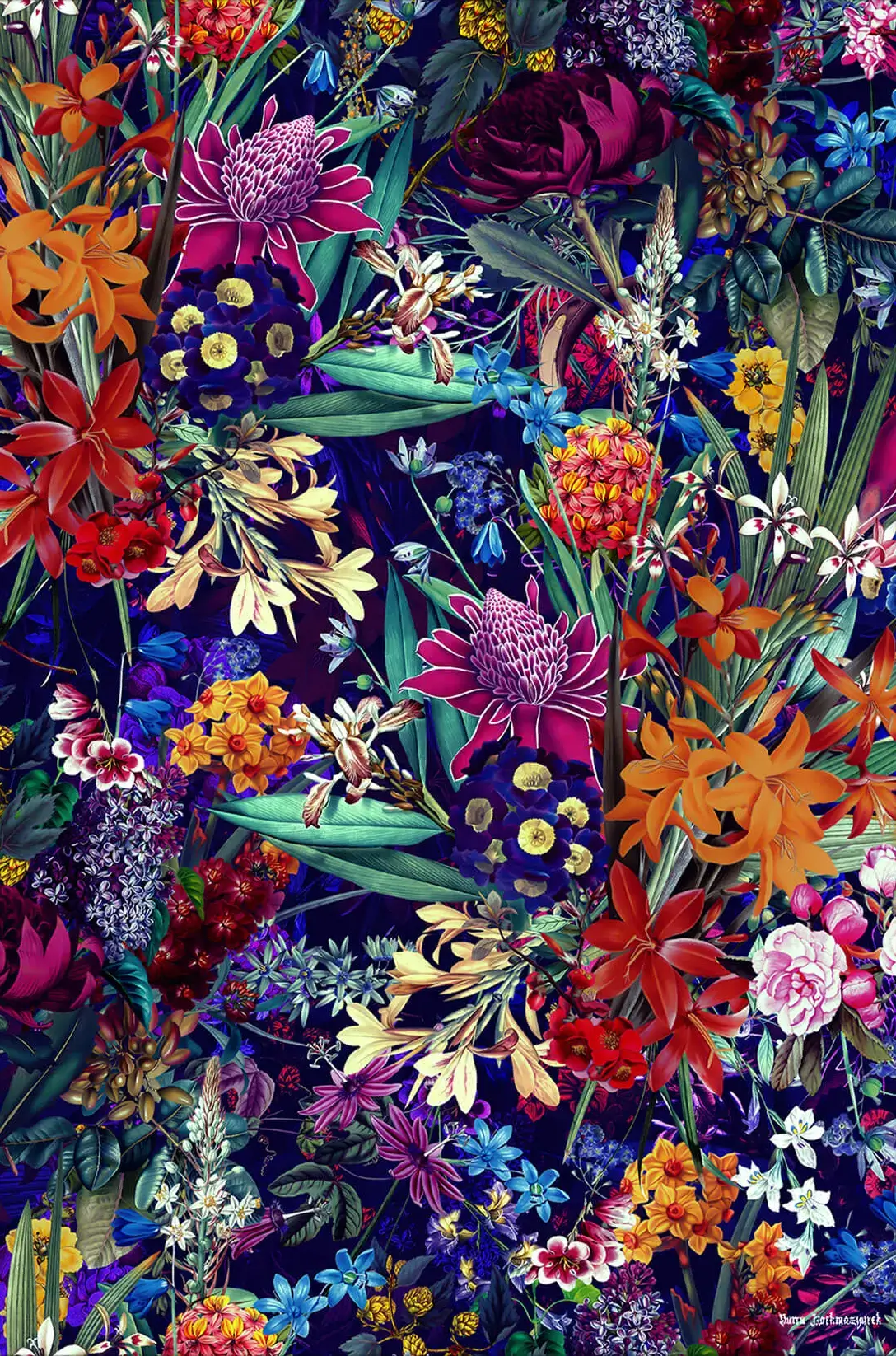 Future Nature XIII - Image 2