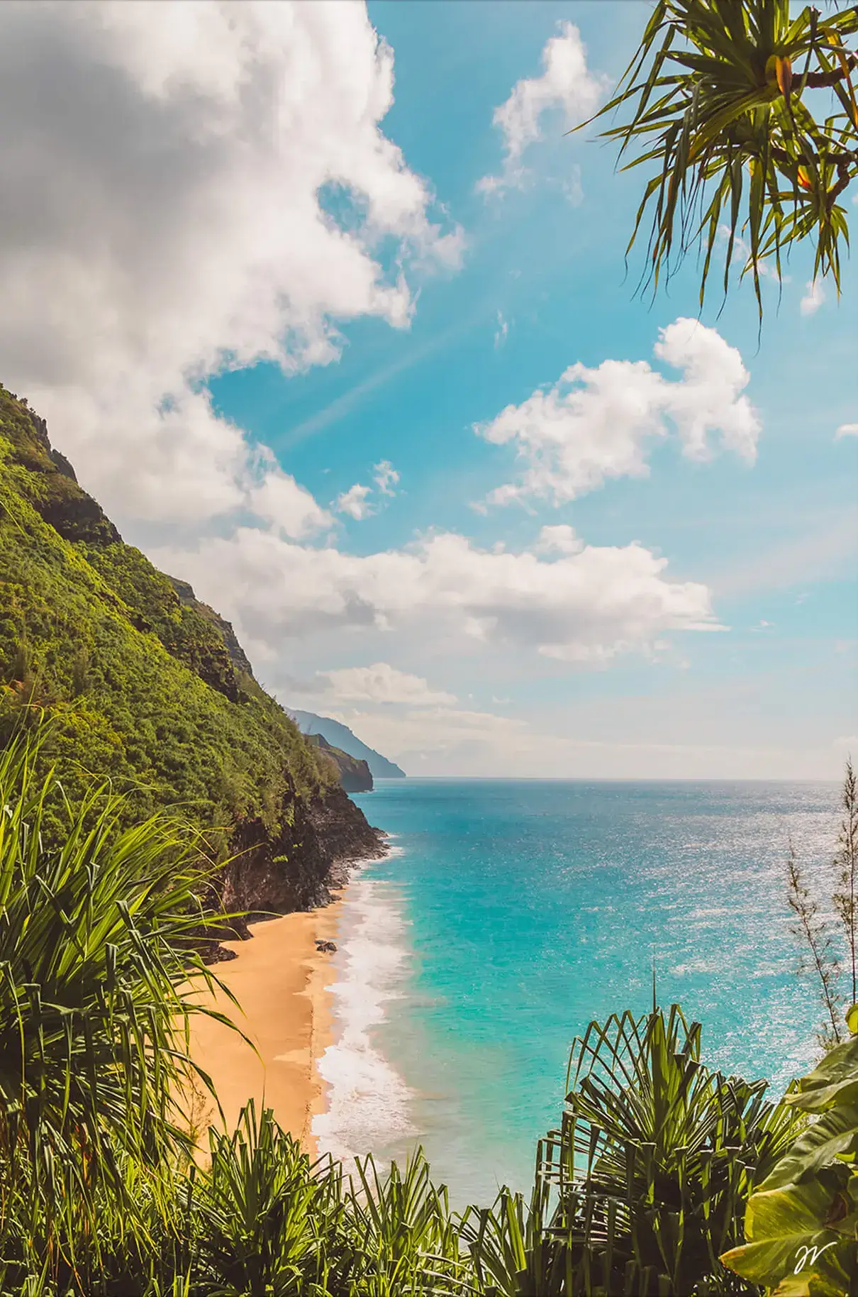 Paradise To Me - Image 2