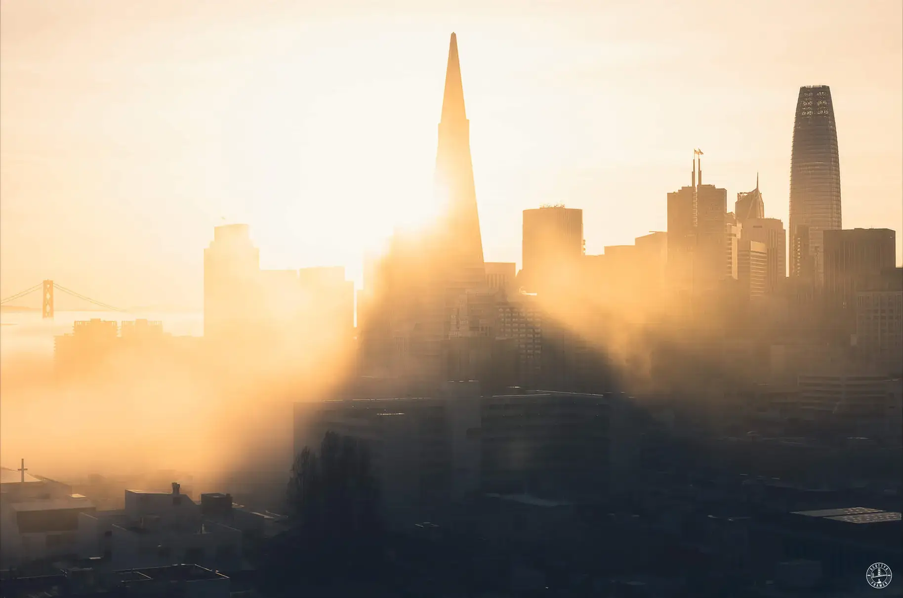 Morning Rays - Image 2