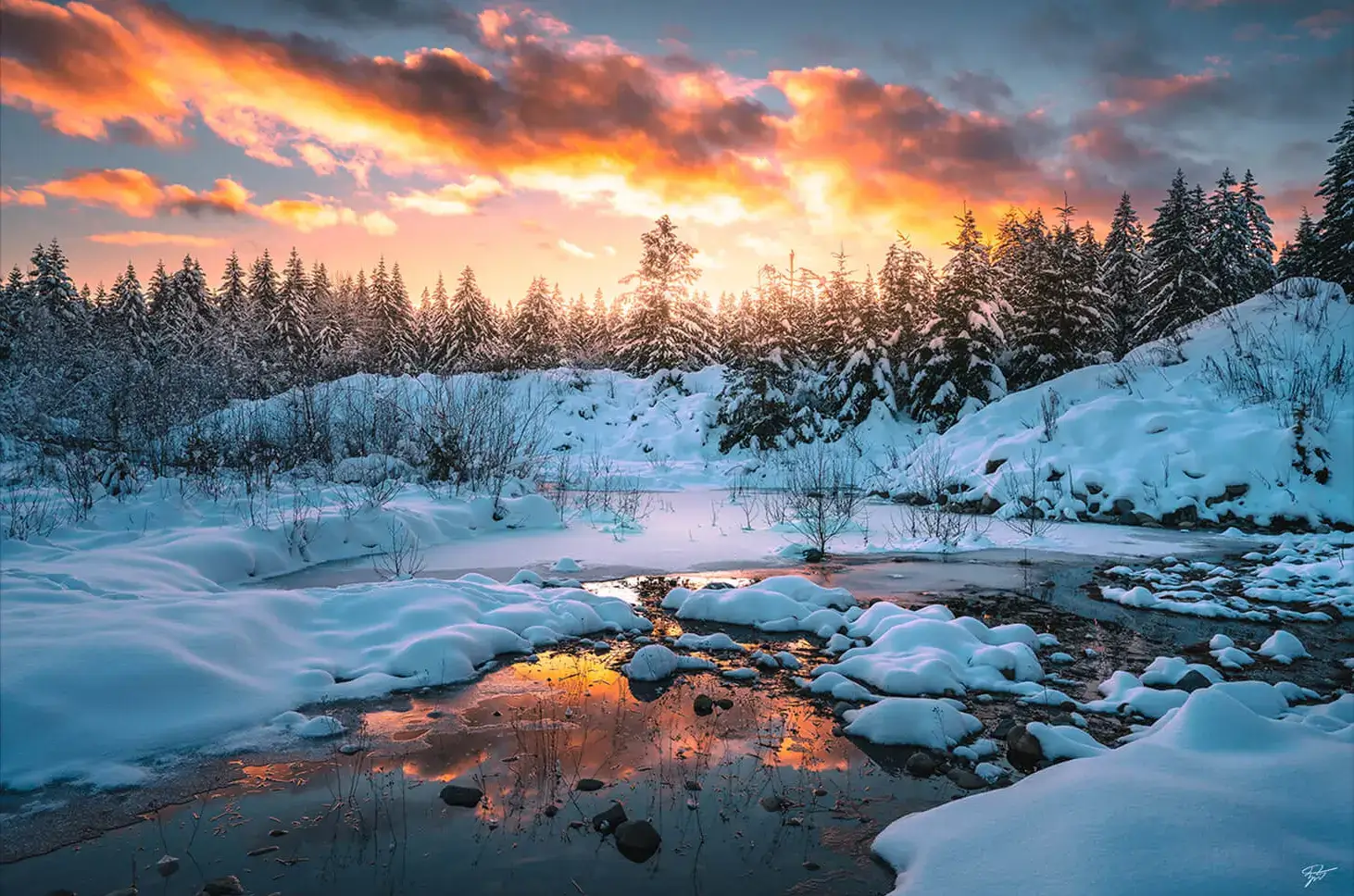 Frost and Fire - Image 2