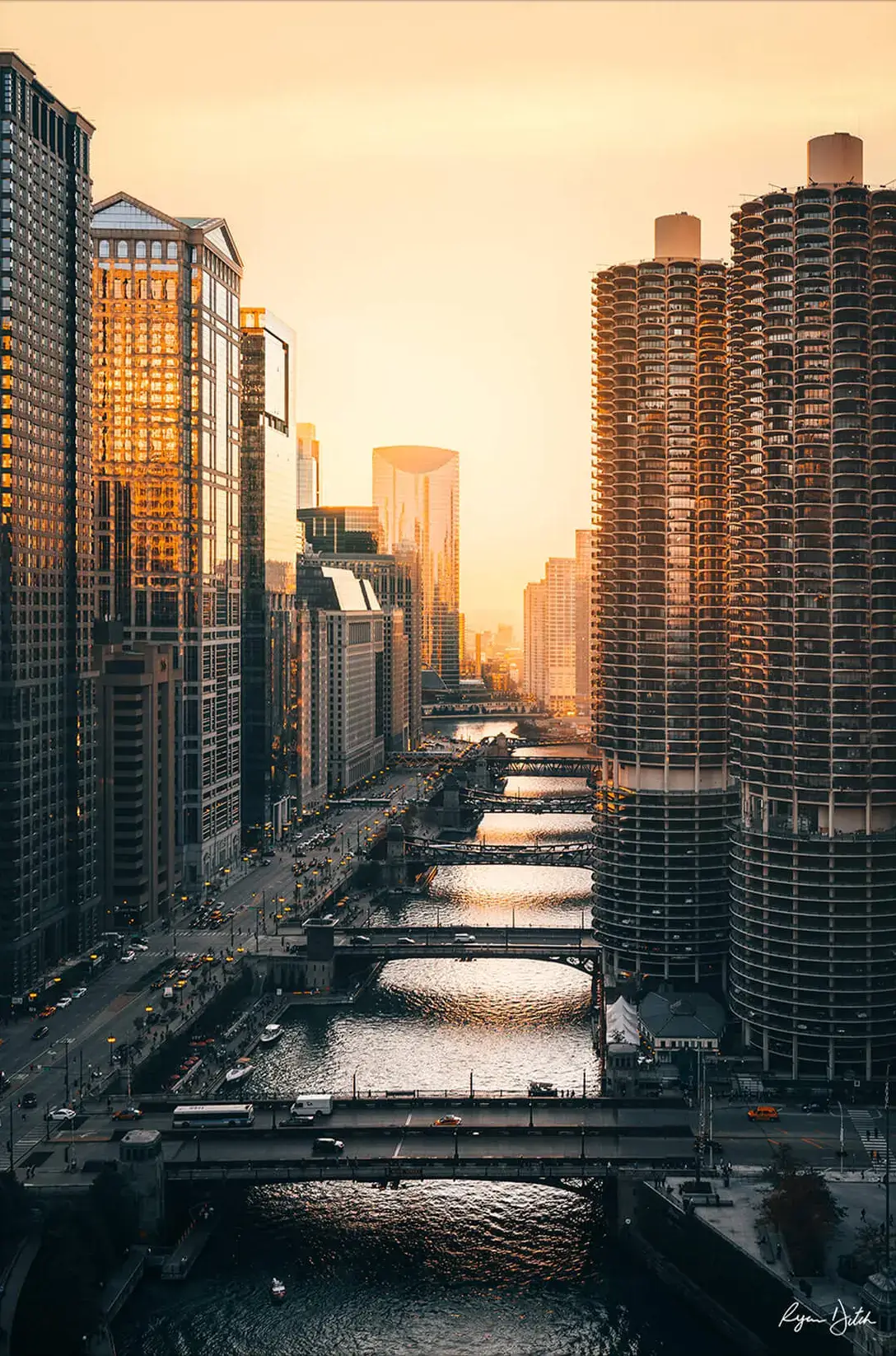 Chicago Views - Image 2