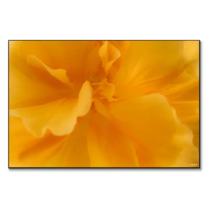 They Call Me Mellow Yellow