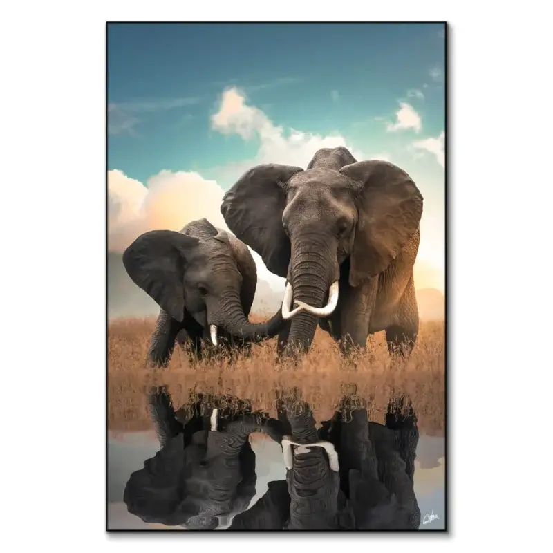 Elephant Love