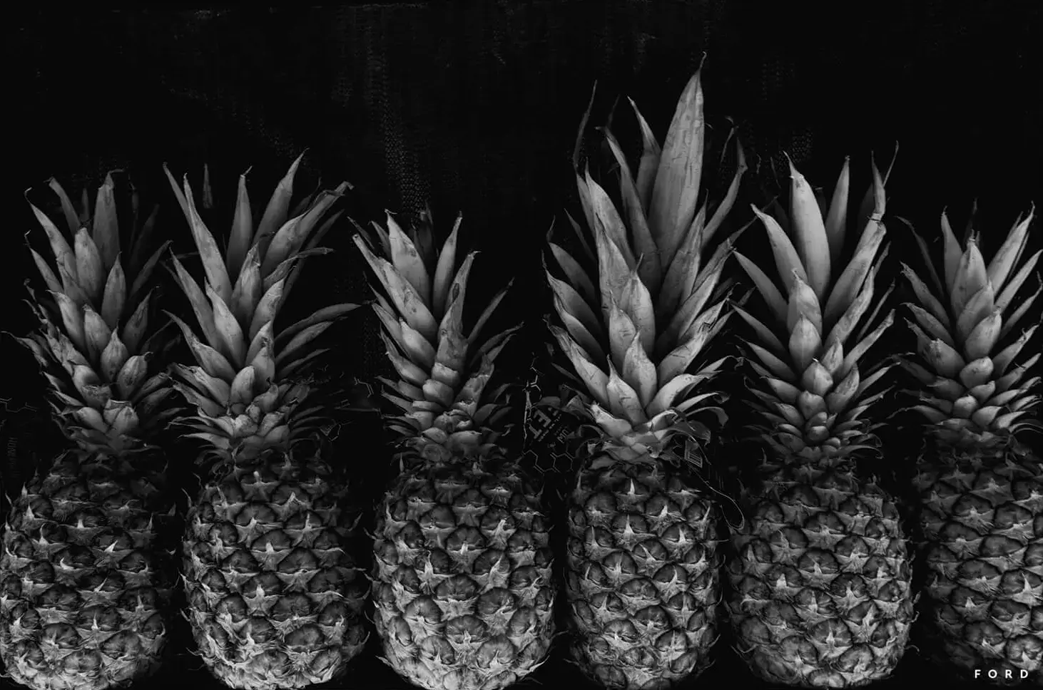 Pineapple Express - Image 2