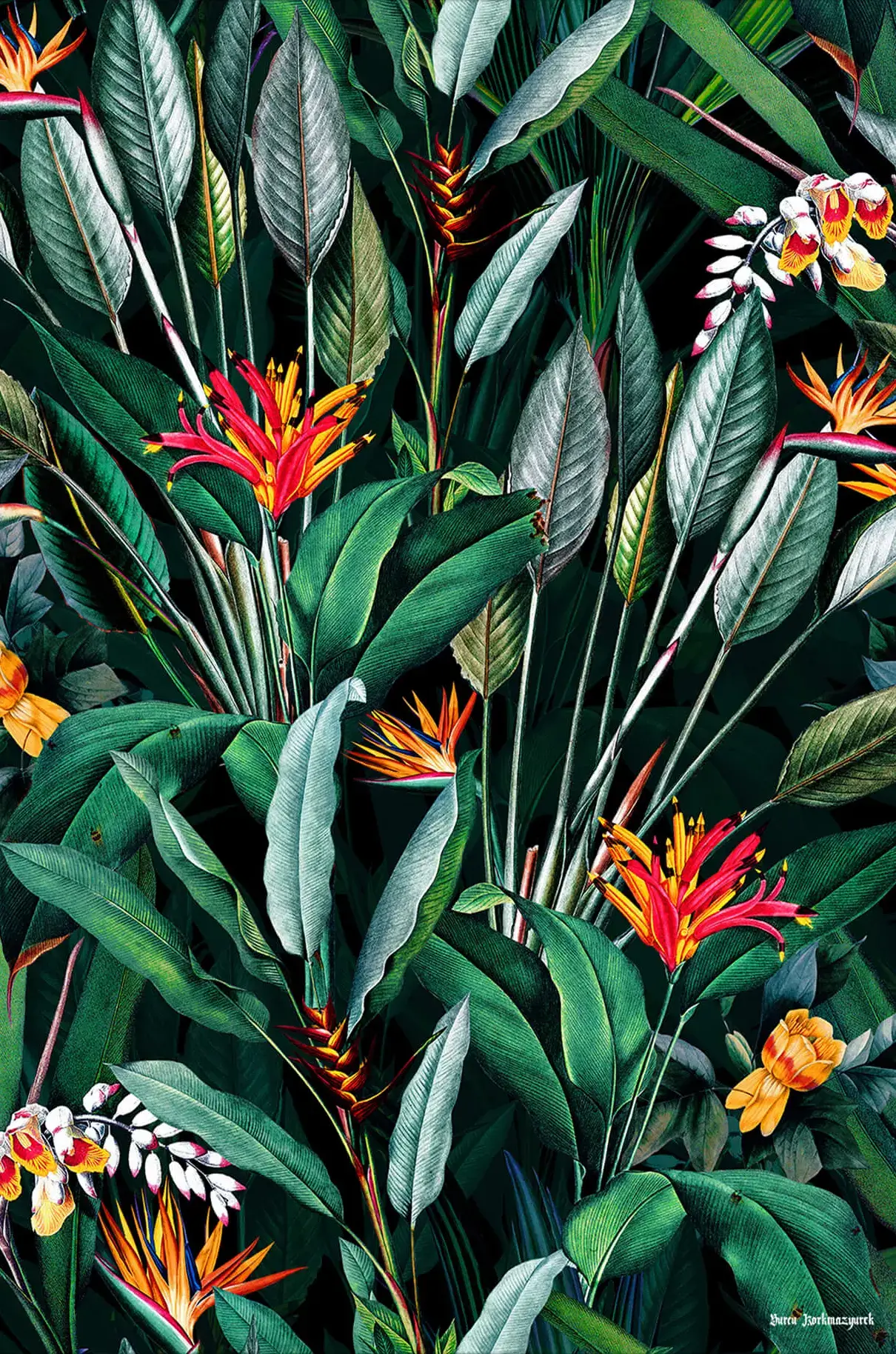 Midnight Garden V - Image 2