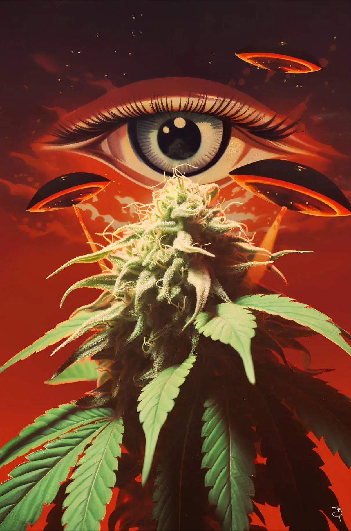 Inspection - Image 2