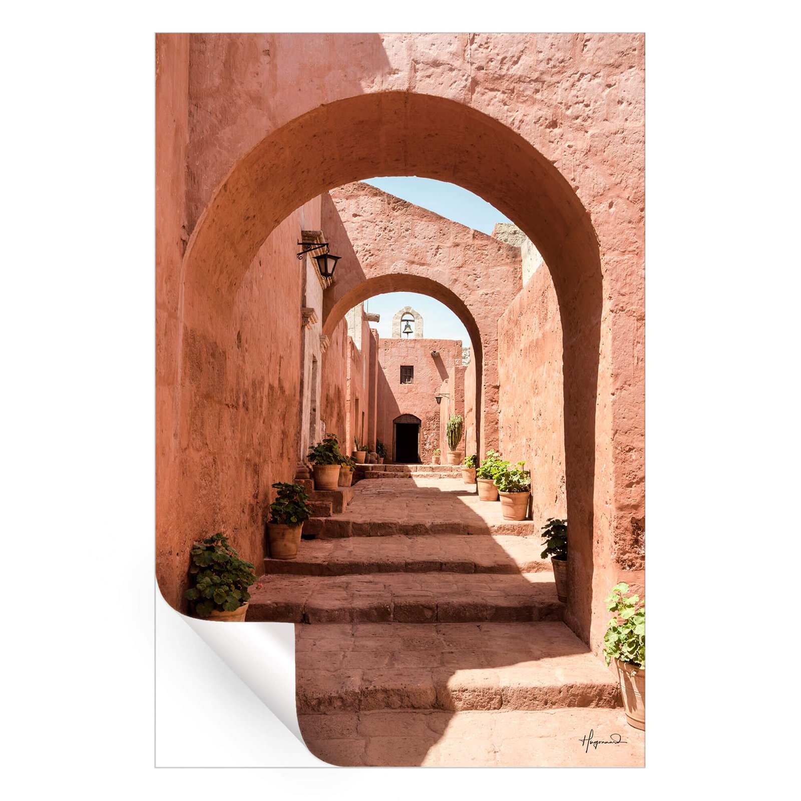 Architectural Terracotta - Image 4