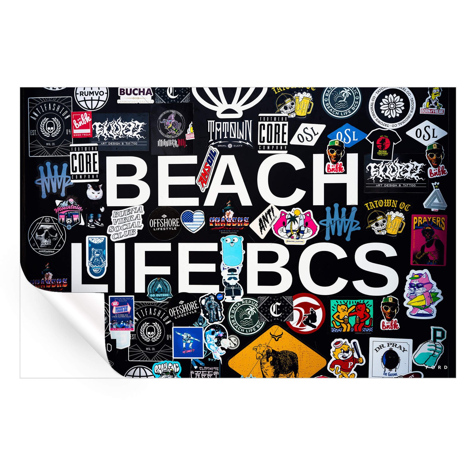 Baja Beach Life - Image 4