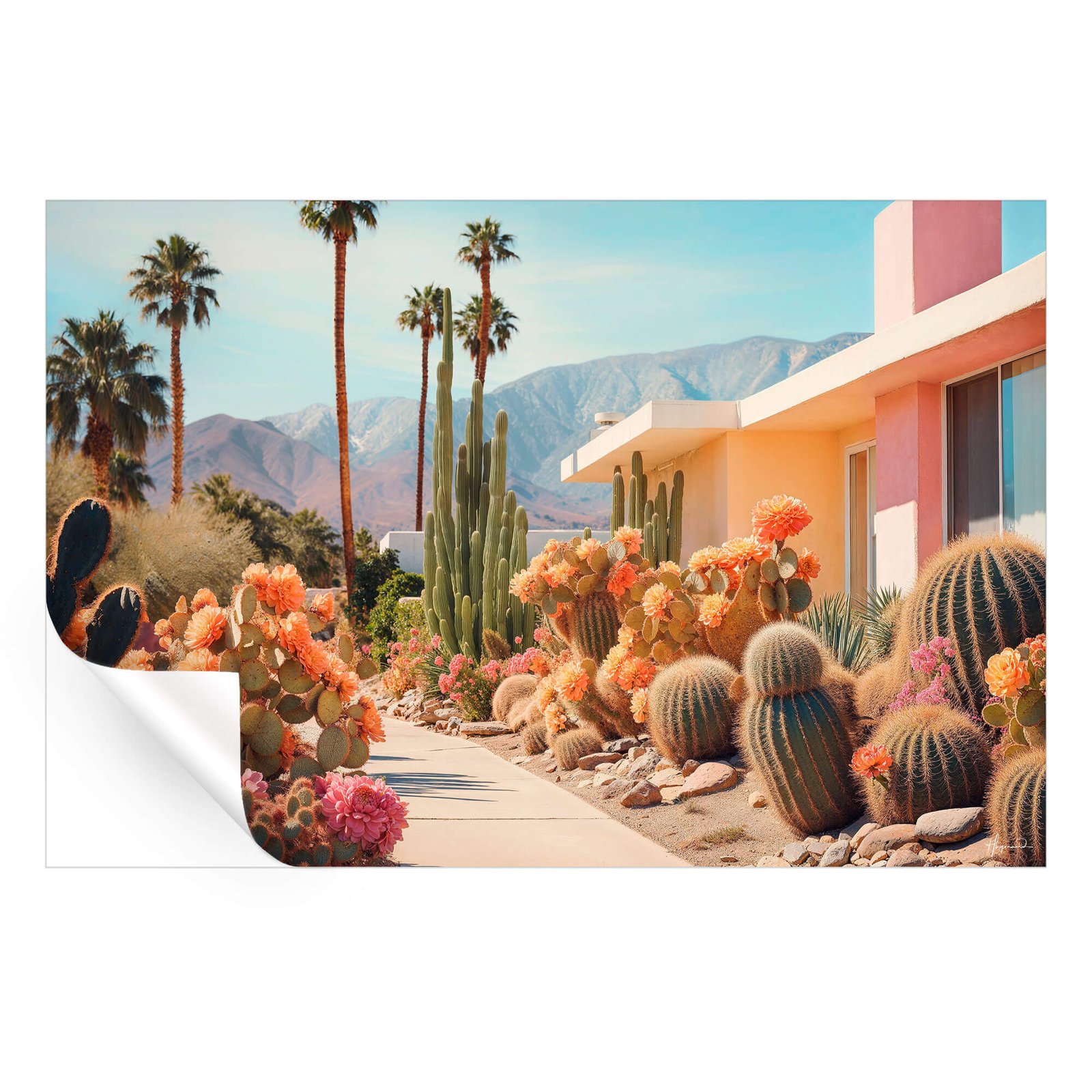 Cactusland - Image 4