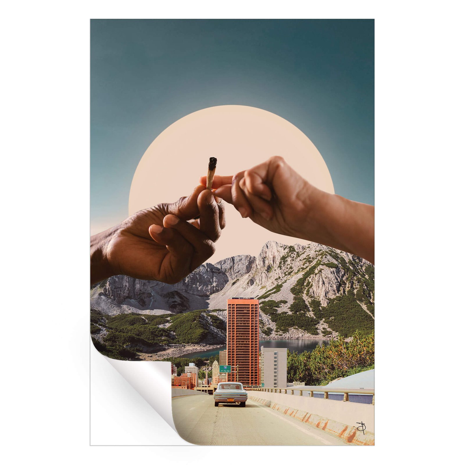 Coming Home - Image 4