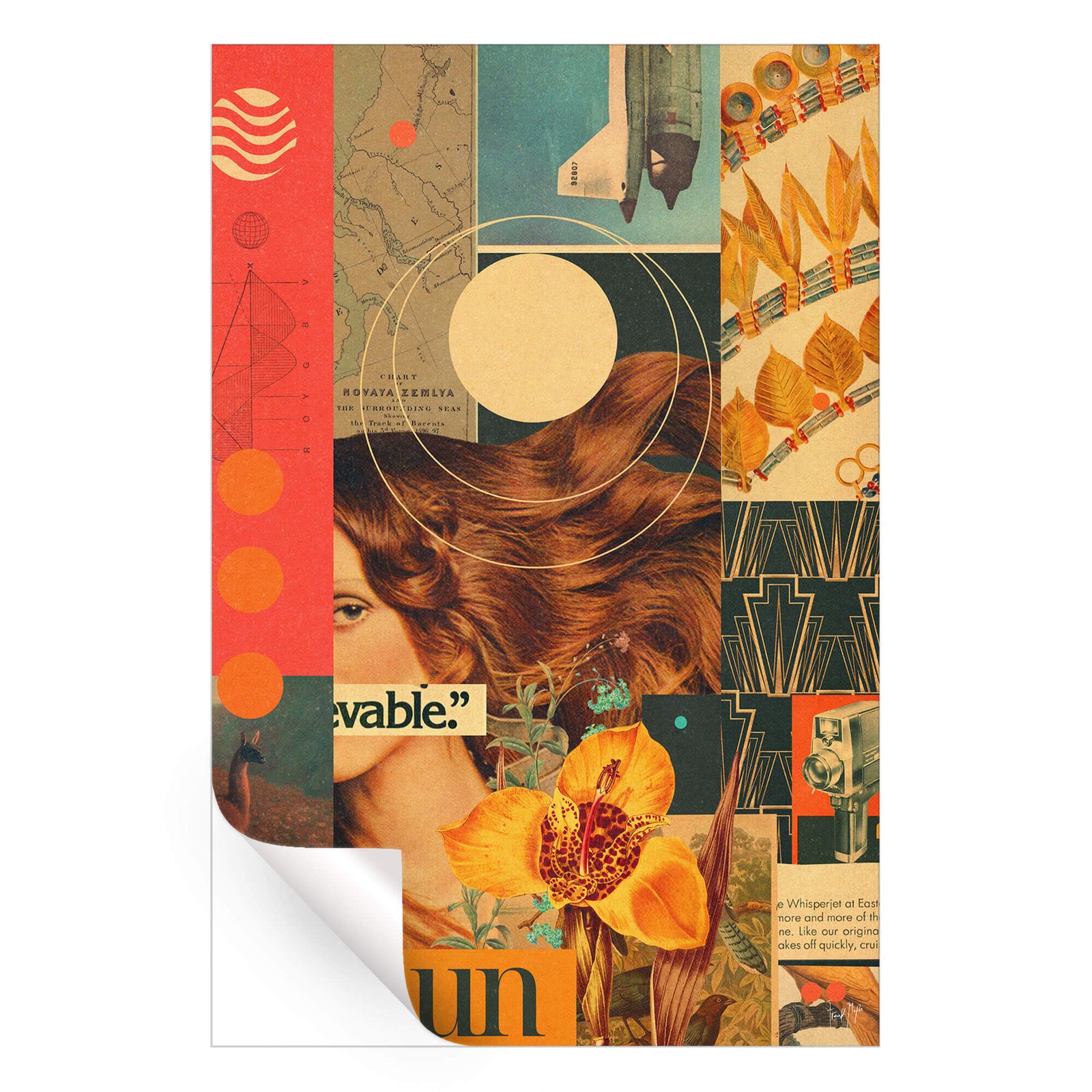 Had to Believe the Unbelievable - Image 4