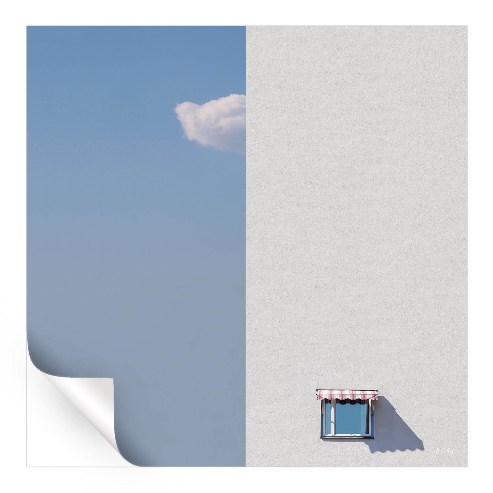 Half and Half - Image 4