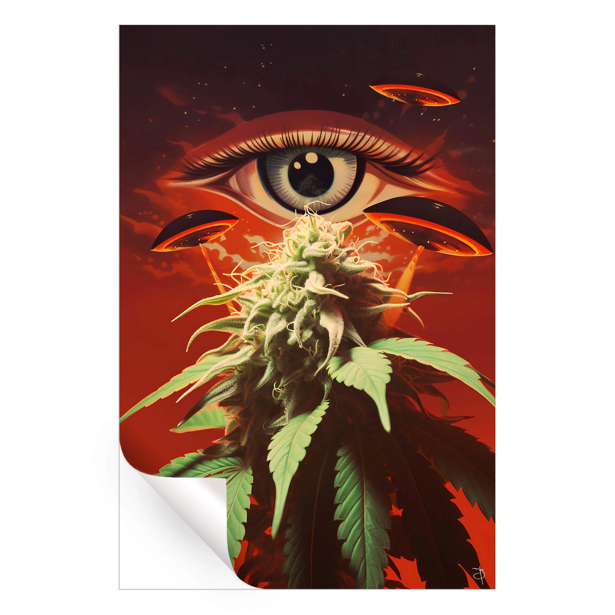 Inspection - Image 4