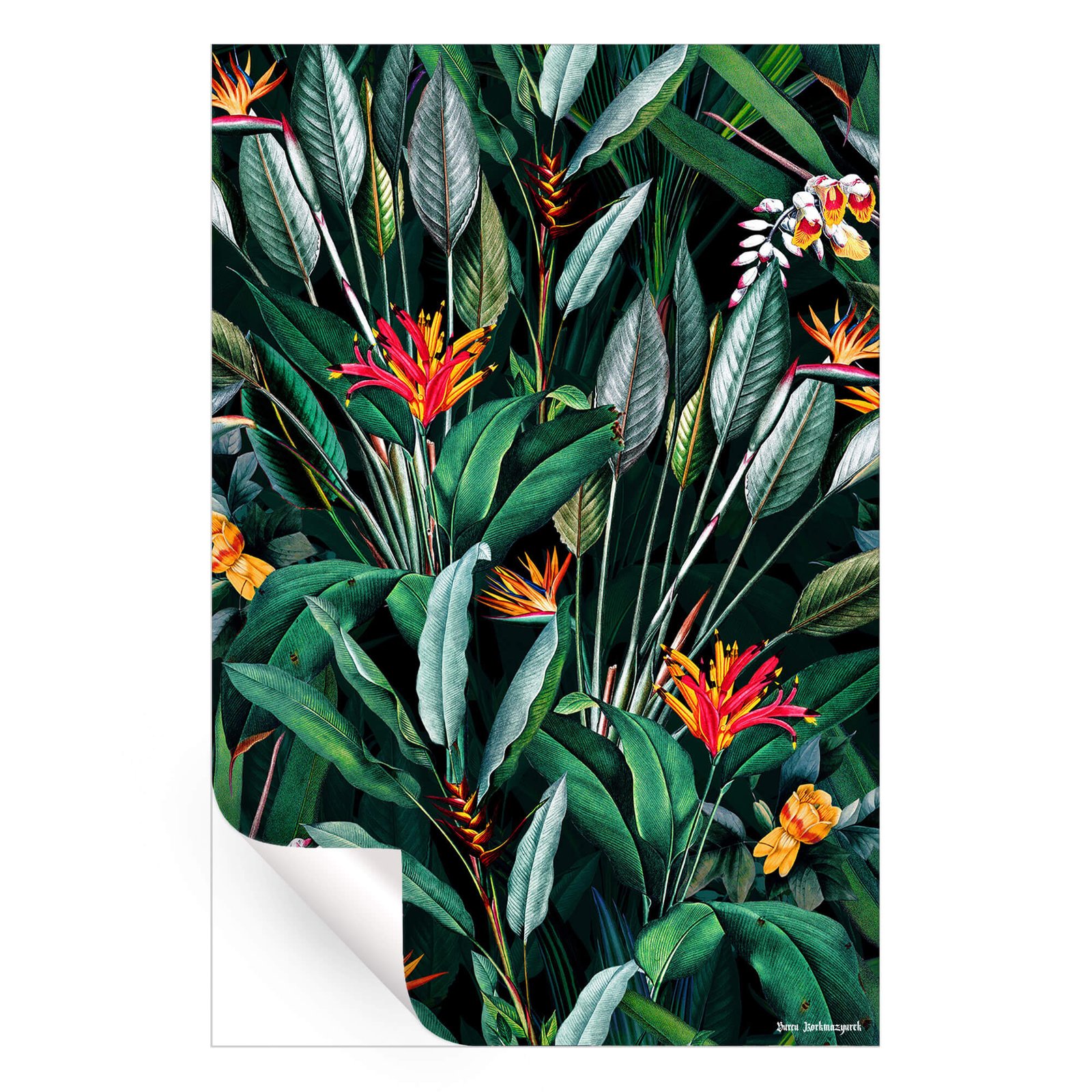 Midnight Garden V - Image 4