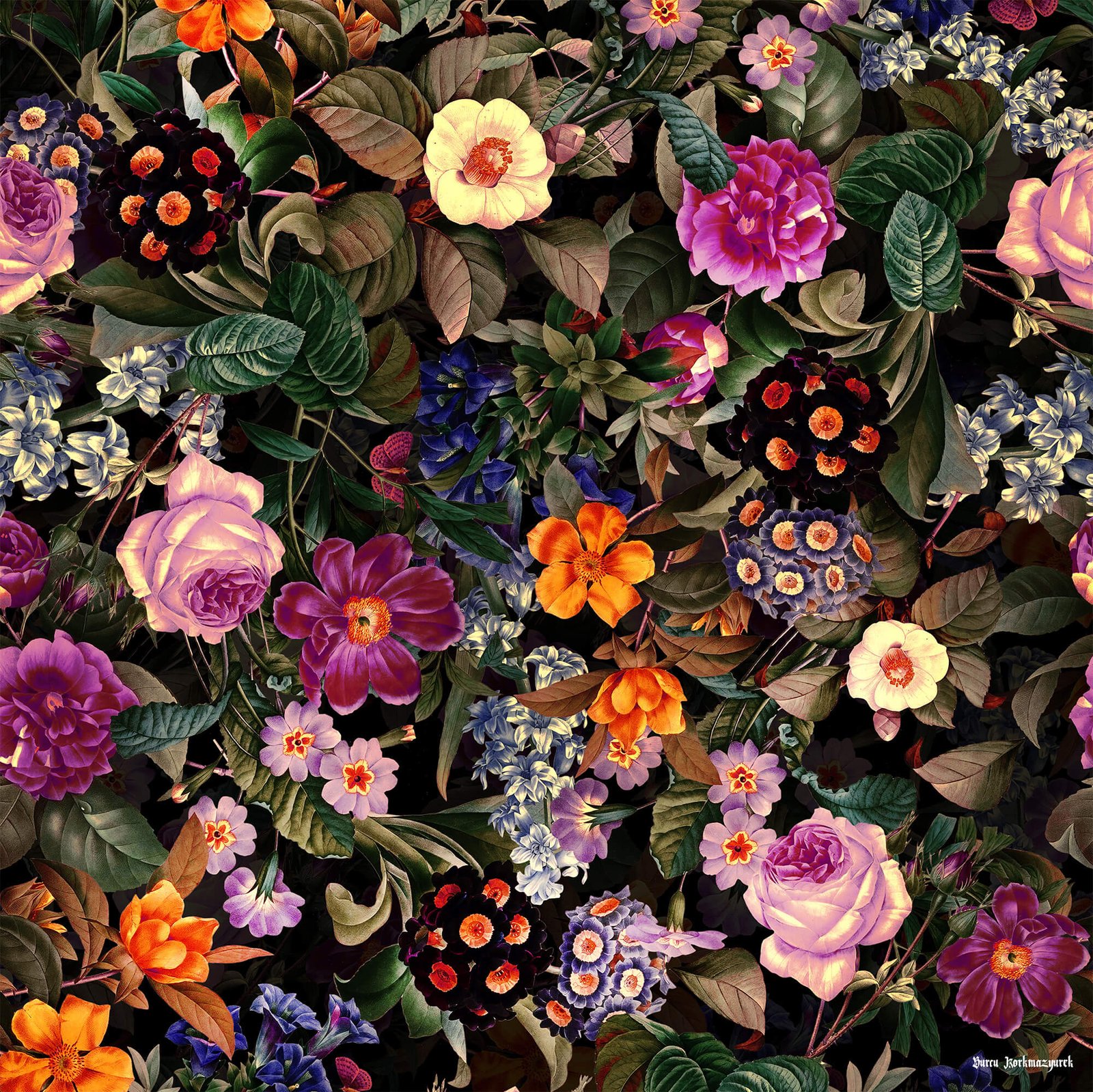 Nighttime Blooms - Image 2