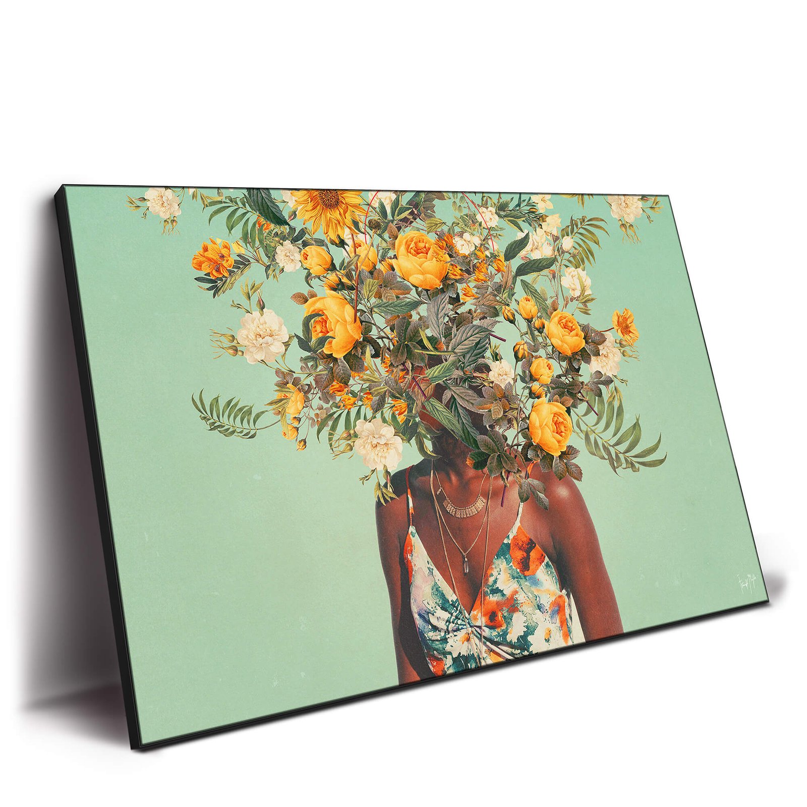 A Thousand Summers - Image 3