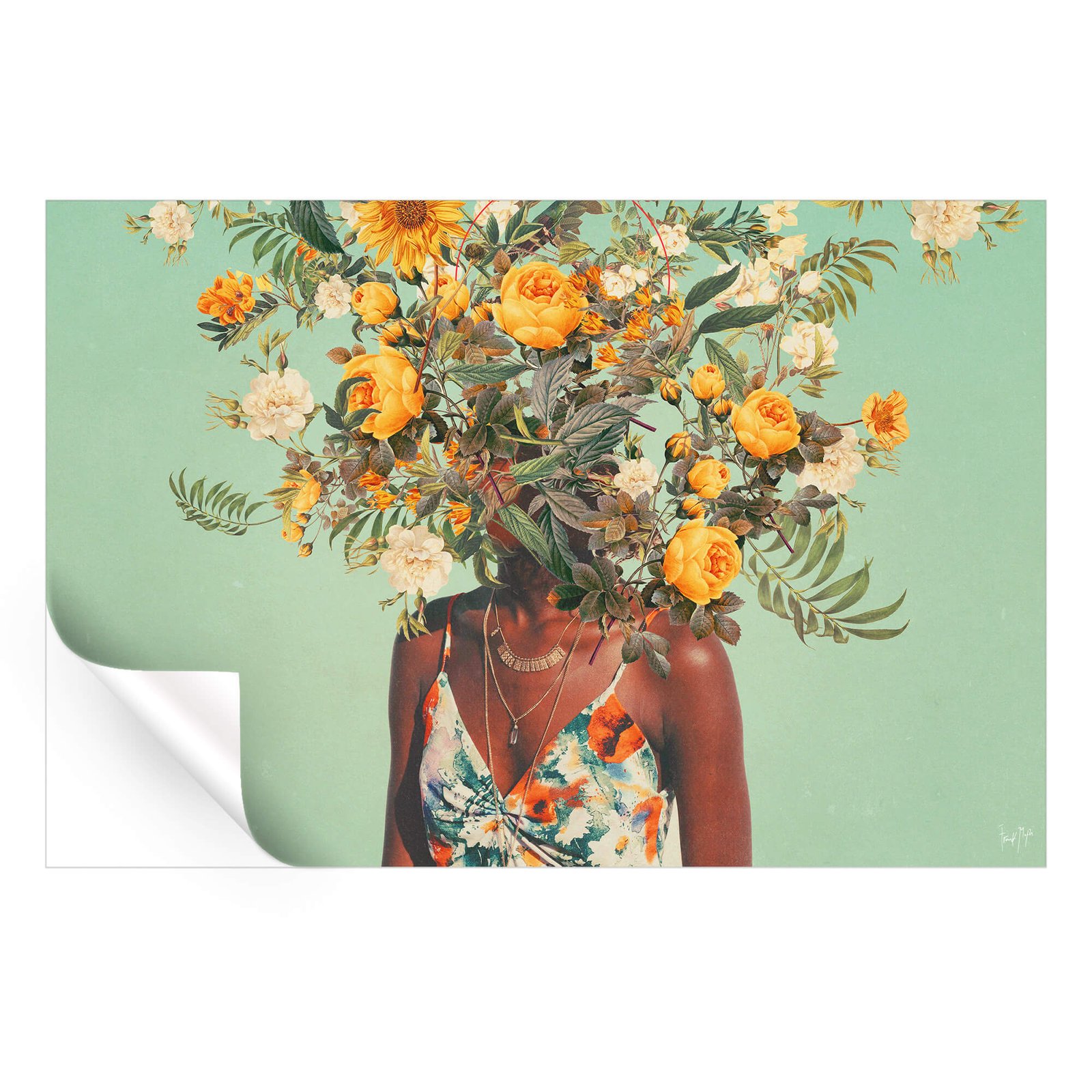 A Thousand Summers - Image 4