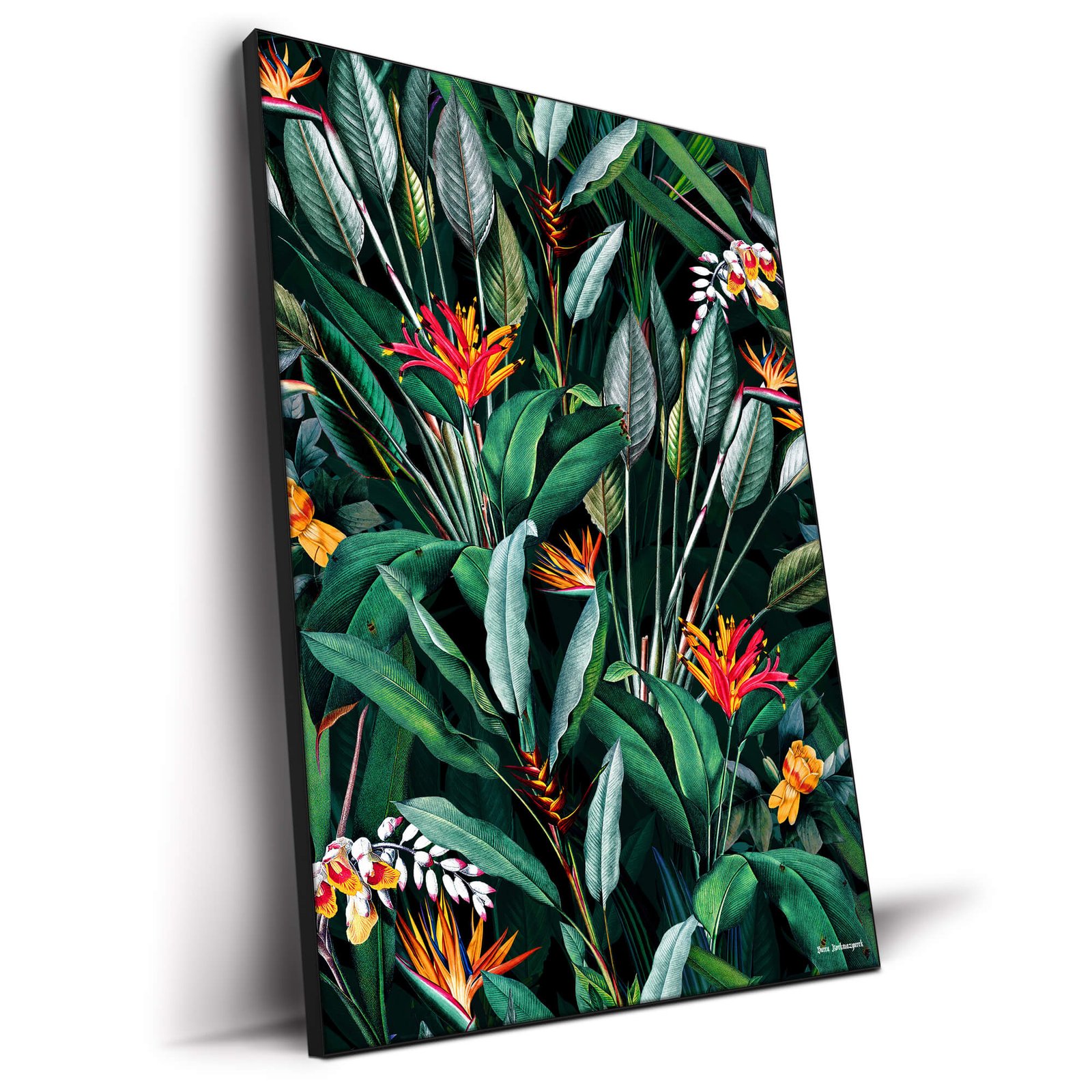 Midnight Garden V - Image 3