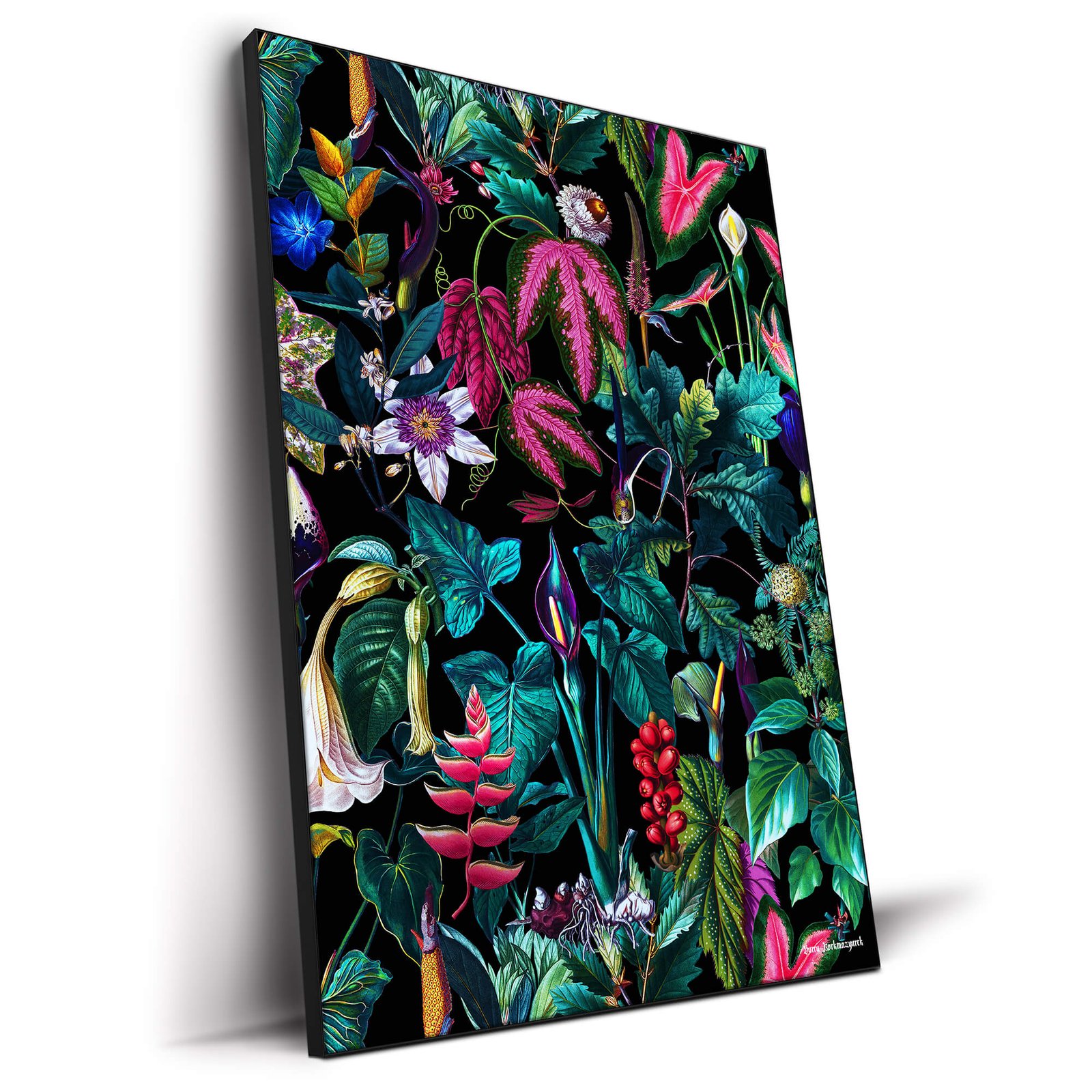 Tropical Magic Forest VI - Image 3