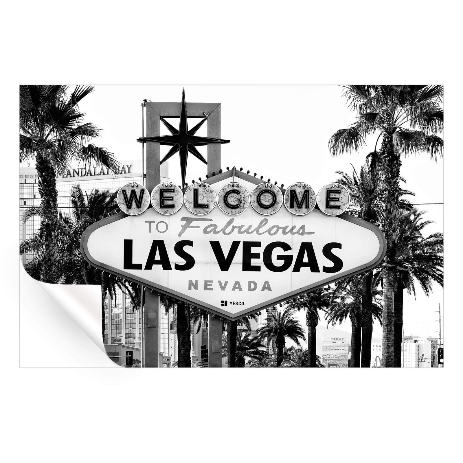 Welcome to Fabulous Las Vegas - Image 3