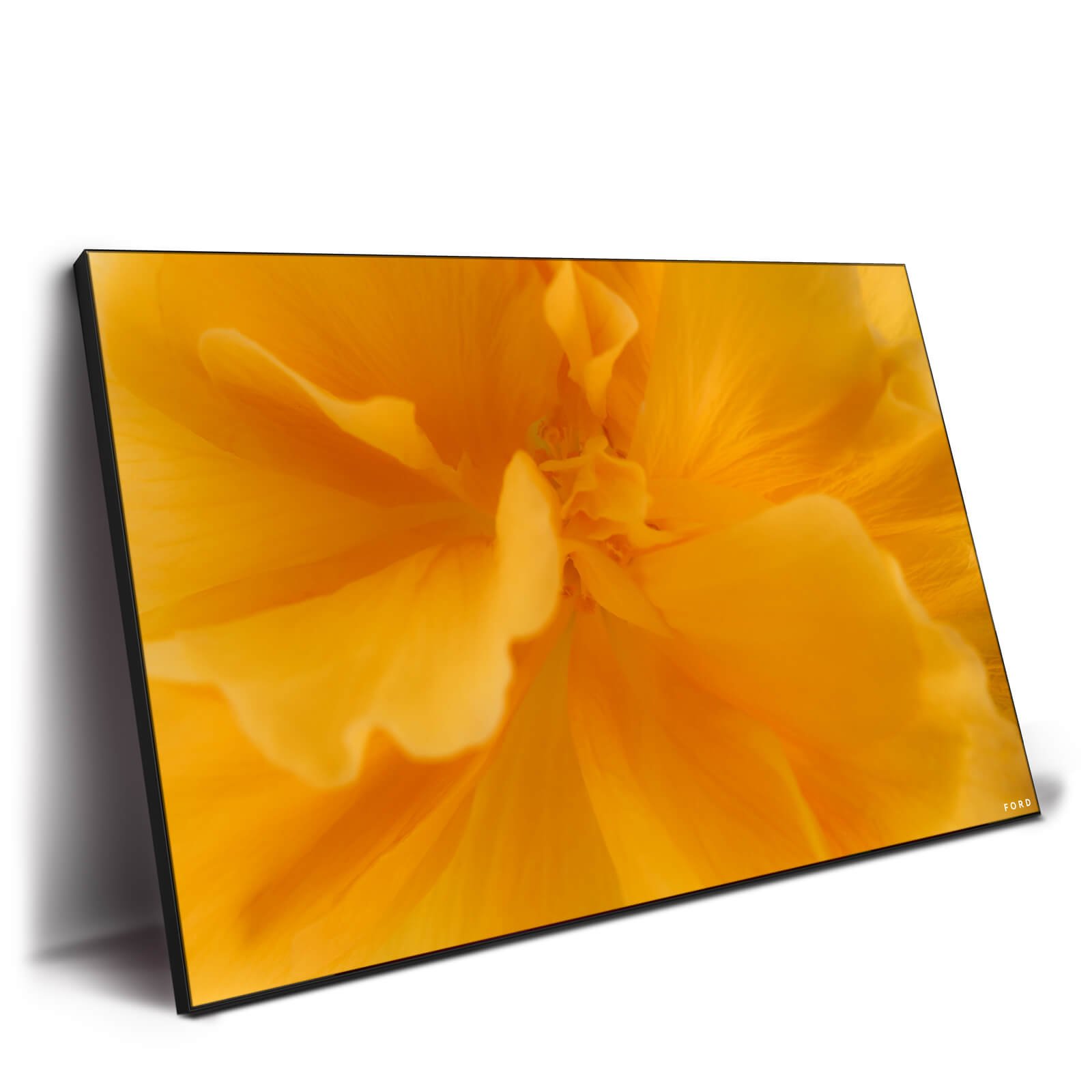 They Call Me Mellow Yellow - Image 3