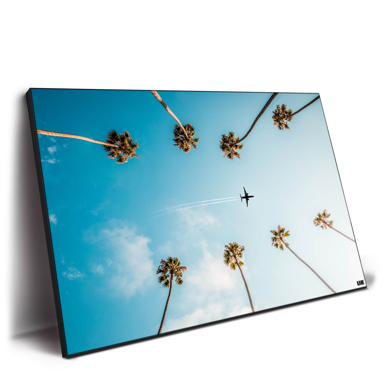 Palm Flight - Image 3